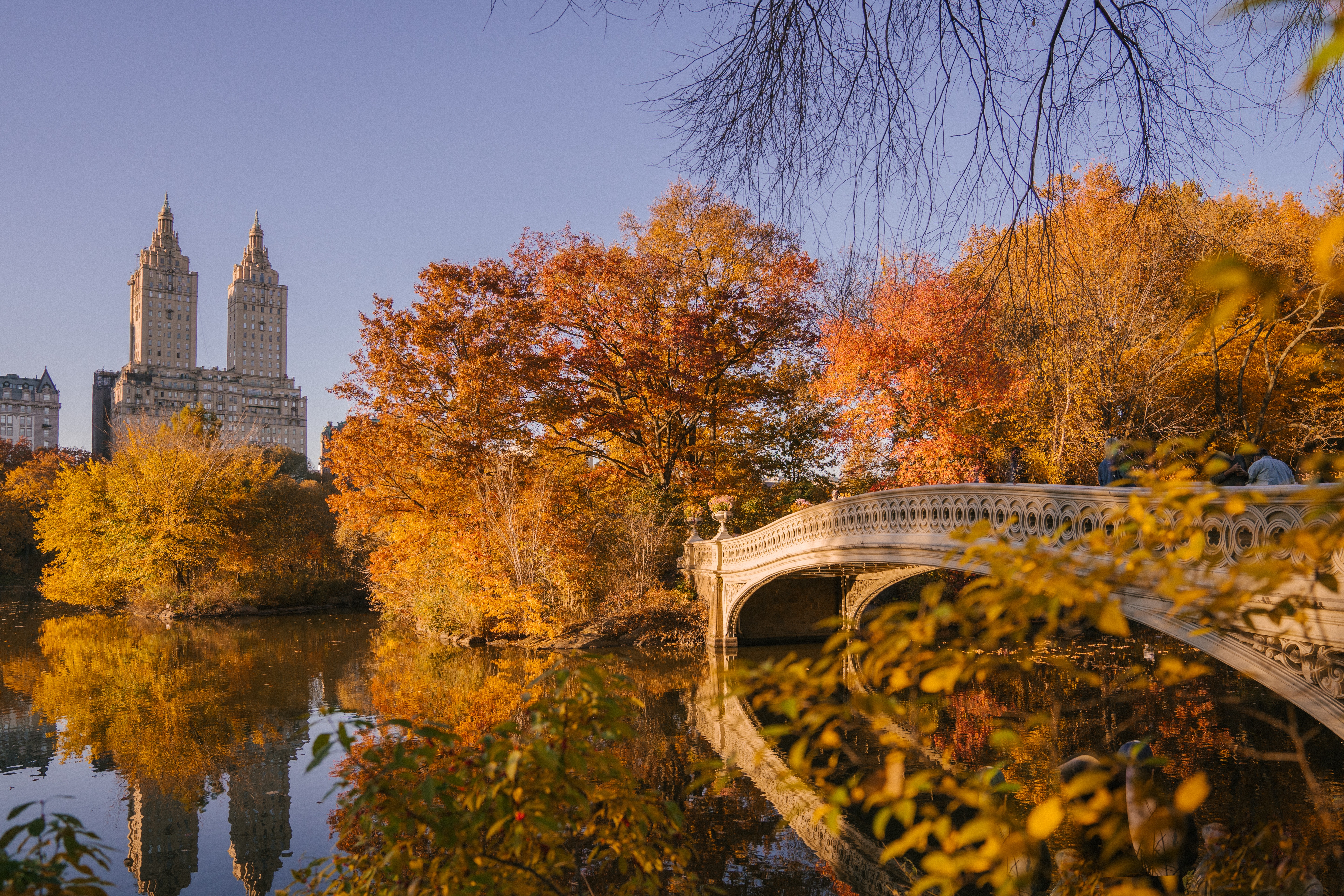 Central Park Wallpapers