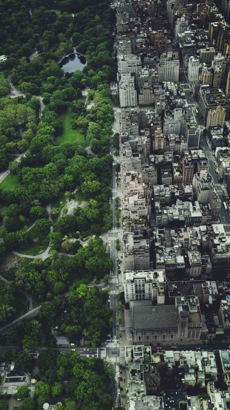 Central Park Wallpapers