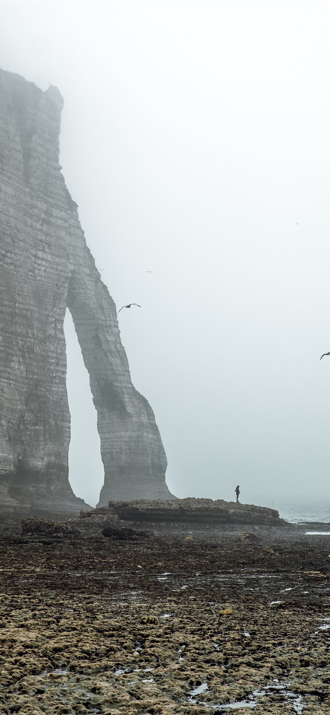 Coastline Hd Normandy Arch Wallpapers