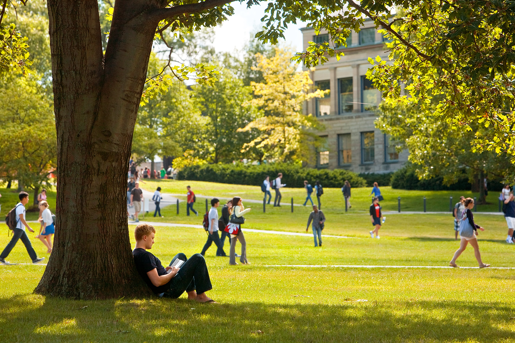 Cornell University Wallpapers