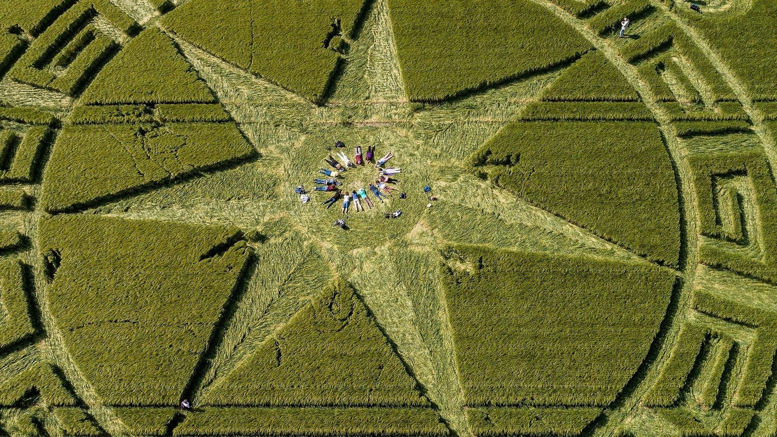 Crop Circles Wallpapers