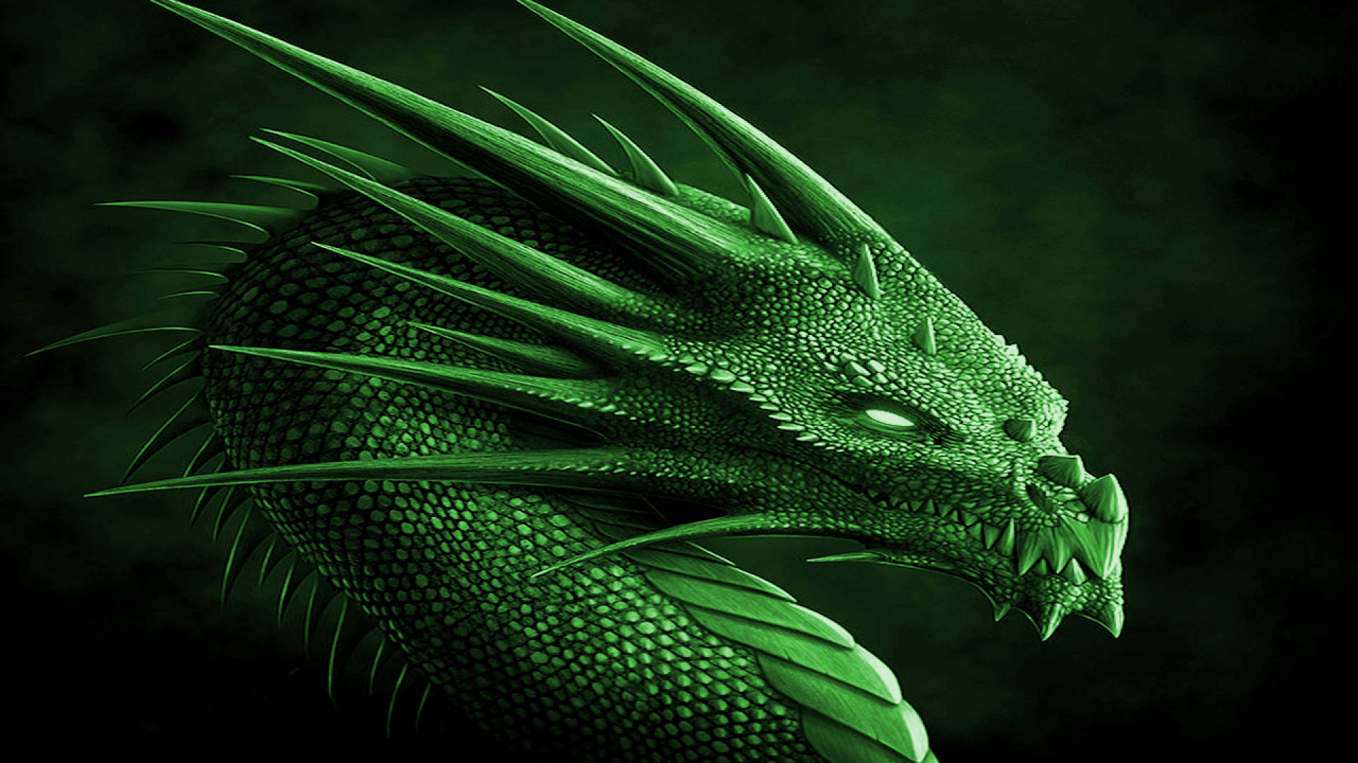 Dragon Wallpapers