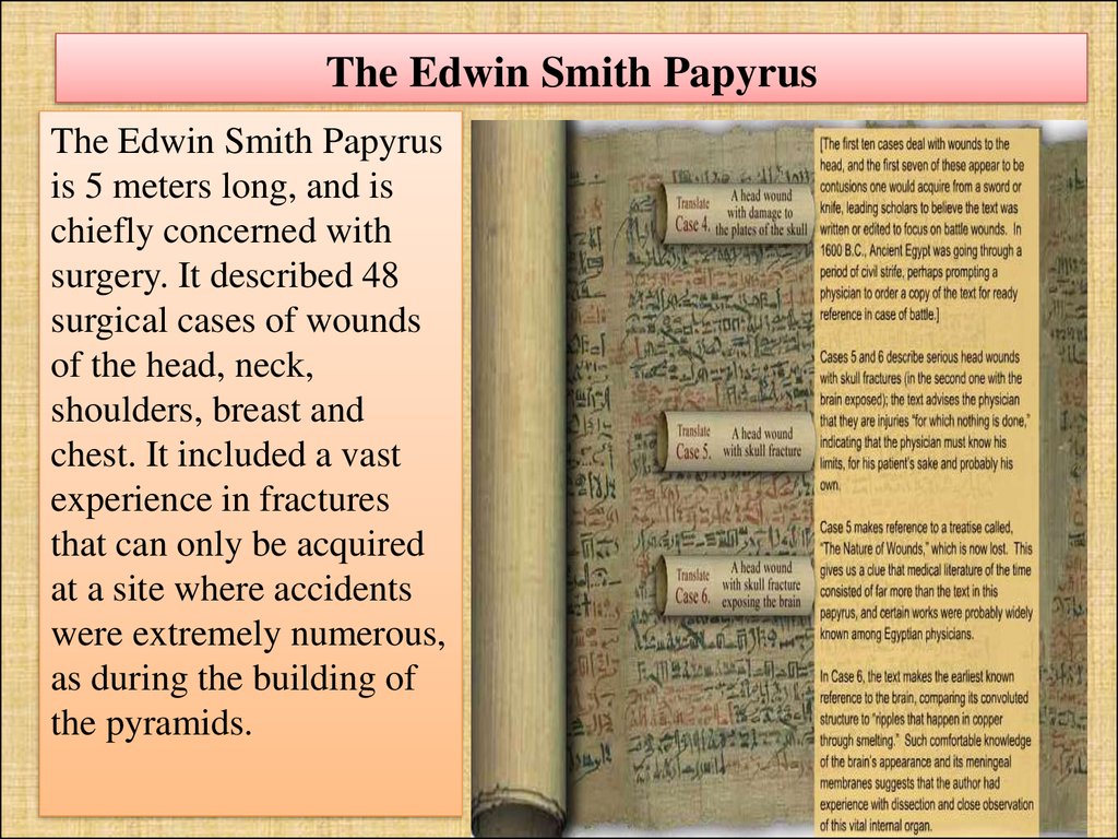 Edwin Smith Papyrus Wallpapers
