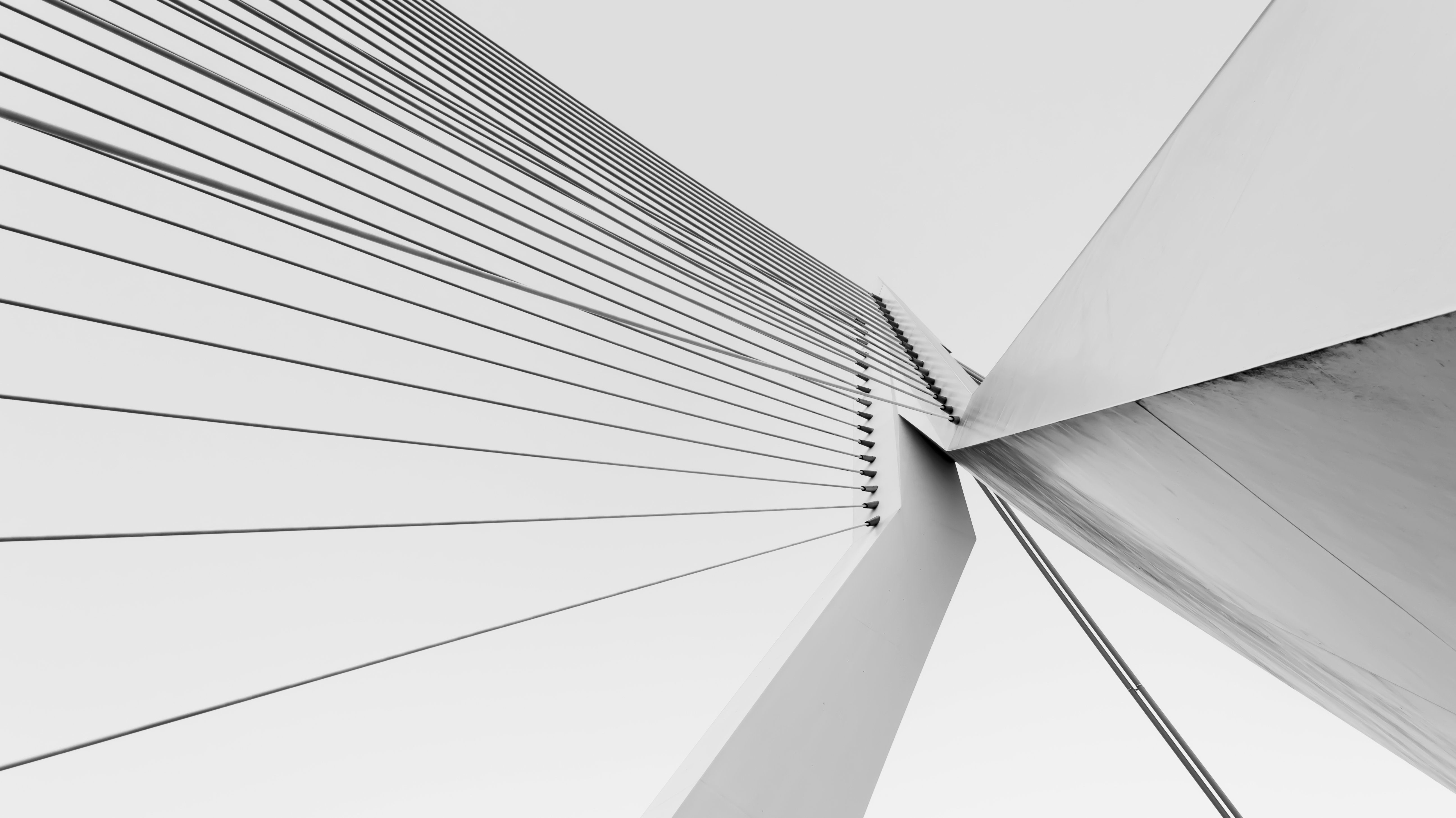 Erasmus Bridge Wallpapers