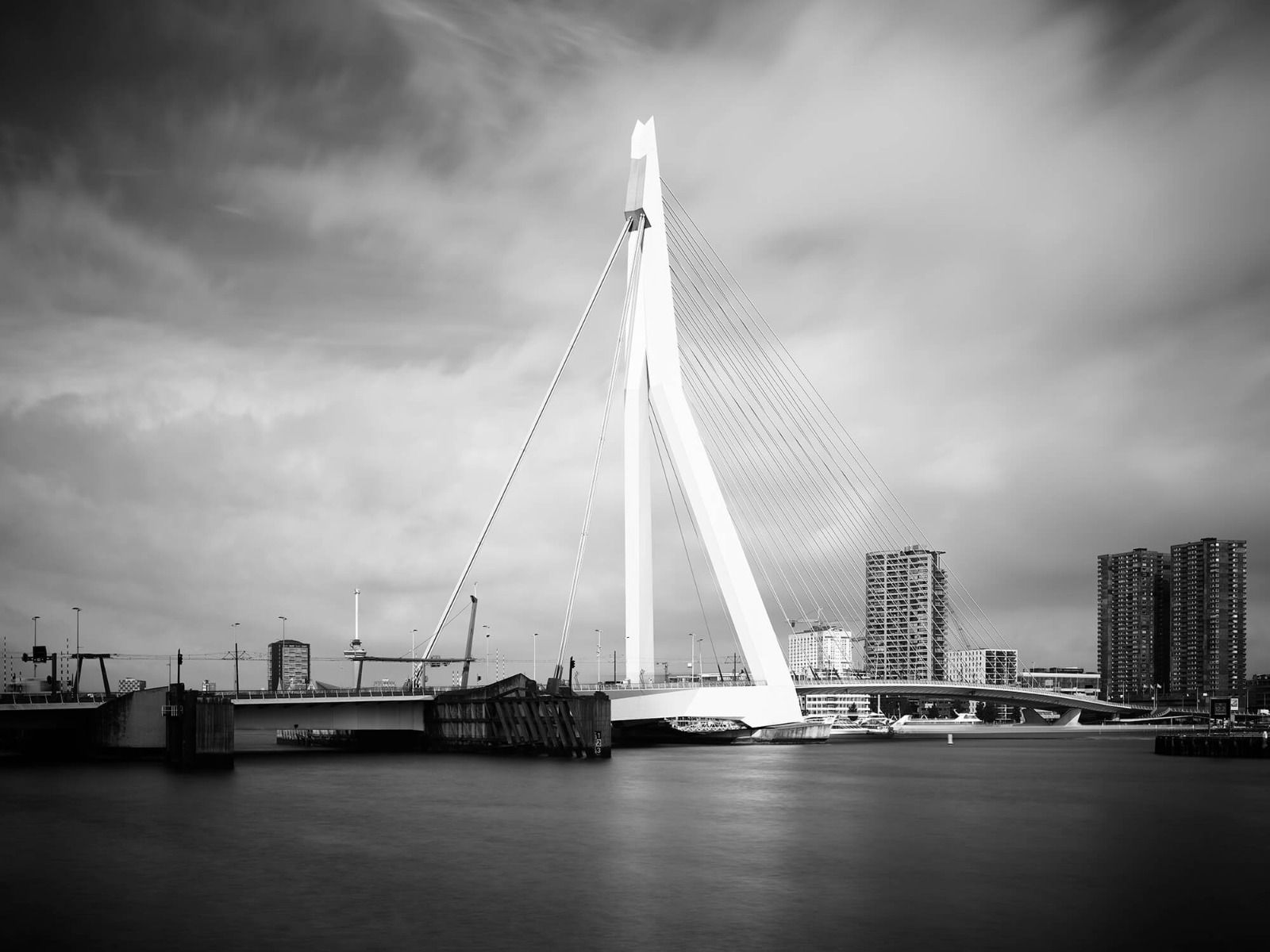 Erasmus Bridge Wallpapers