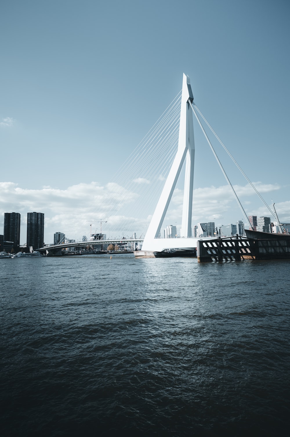 Erasmus Bridge Wallpapers