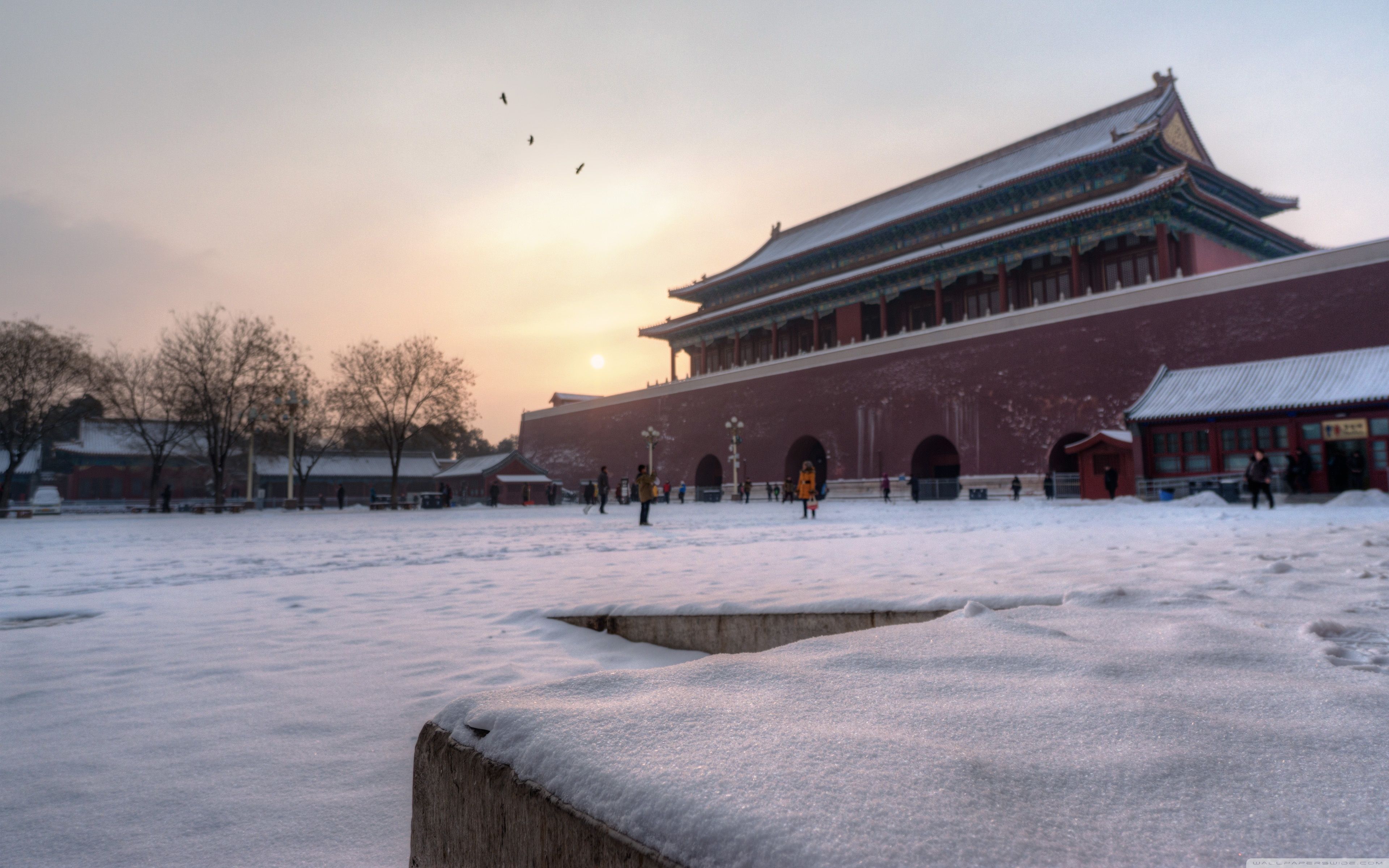 Forbidden City Wallpapers