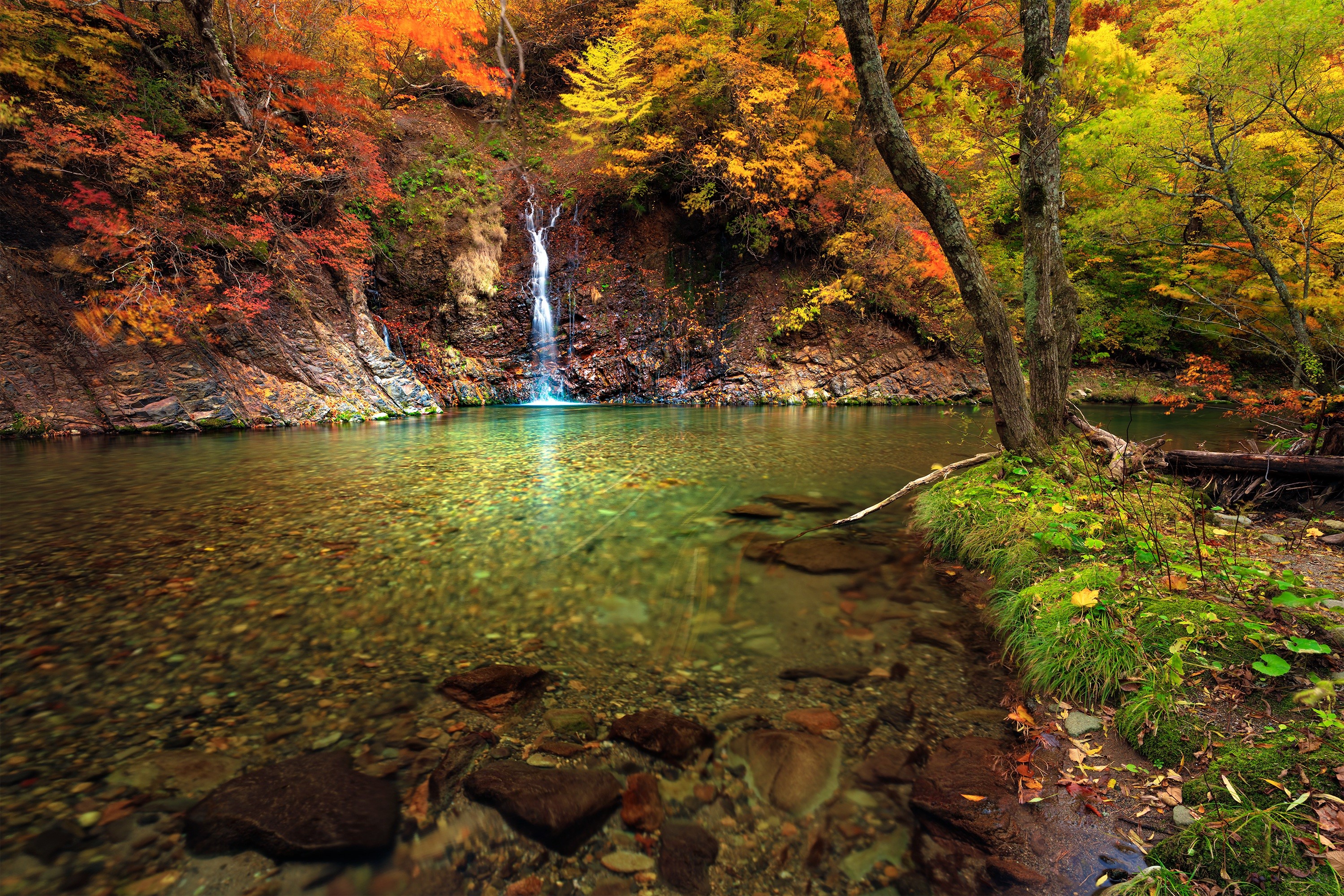 Forests Houses Autumn In Struga Macedonia Wallpapers