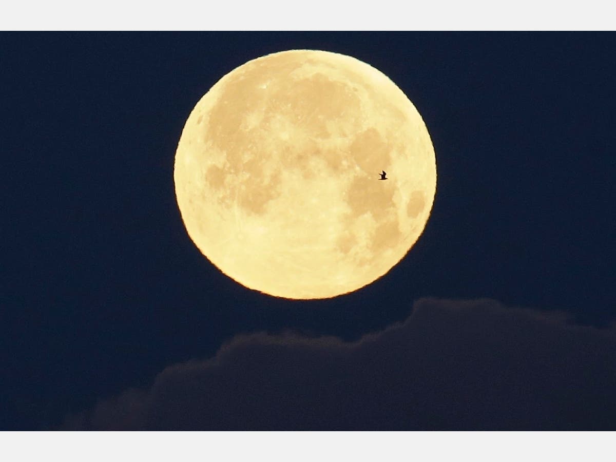 Full Moon Over Manhattan Wallpapers