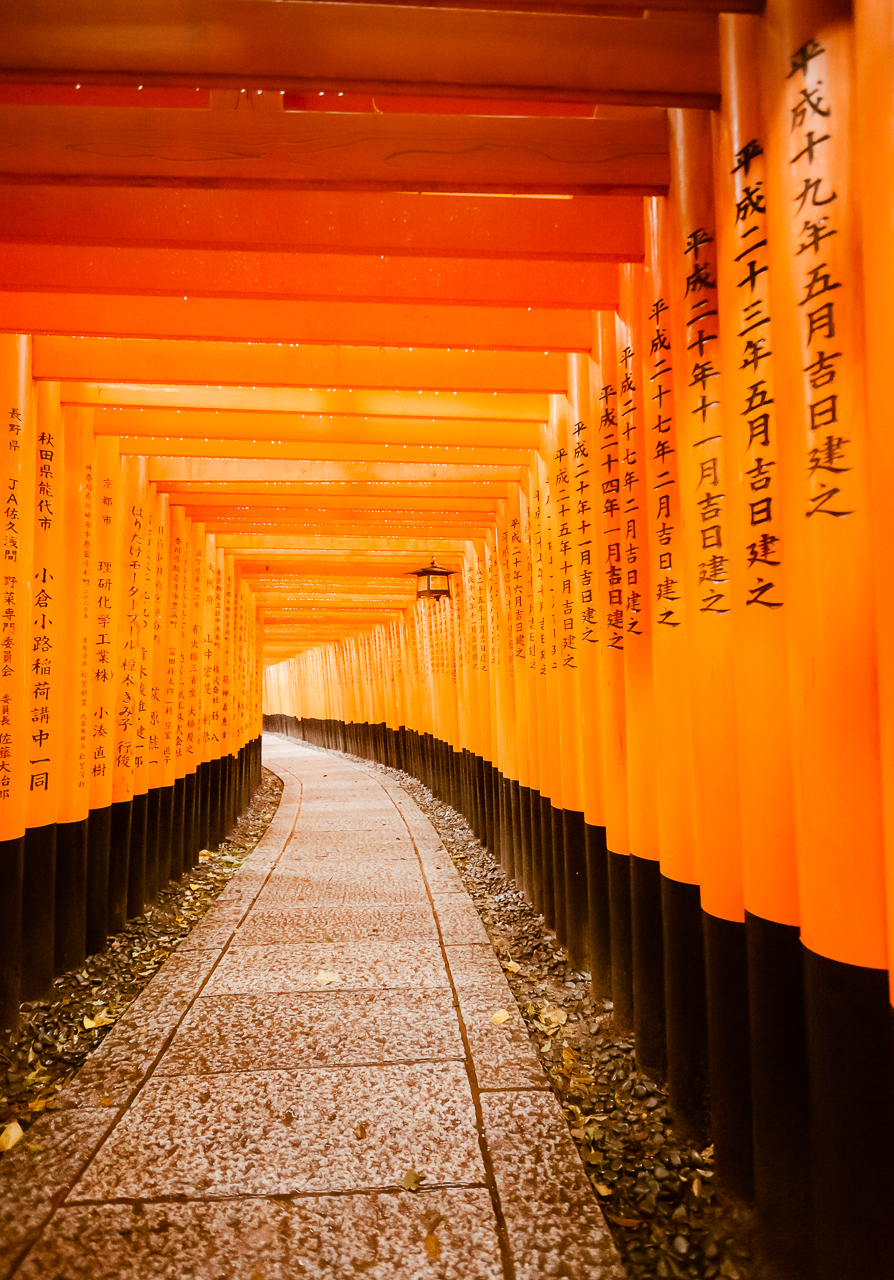 Fushimi Inari Taisha Wallpapers