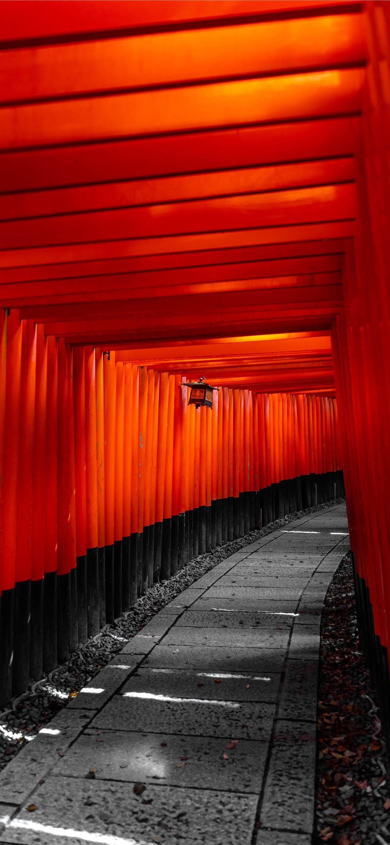 Fushimi Inari Taisha Wallpapers