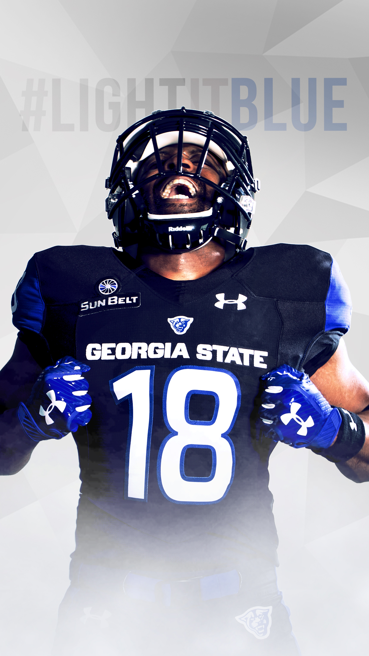 Georgia State Wallpapers