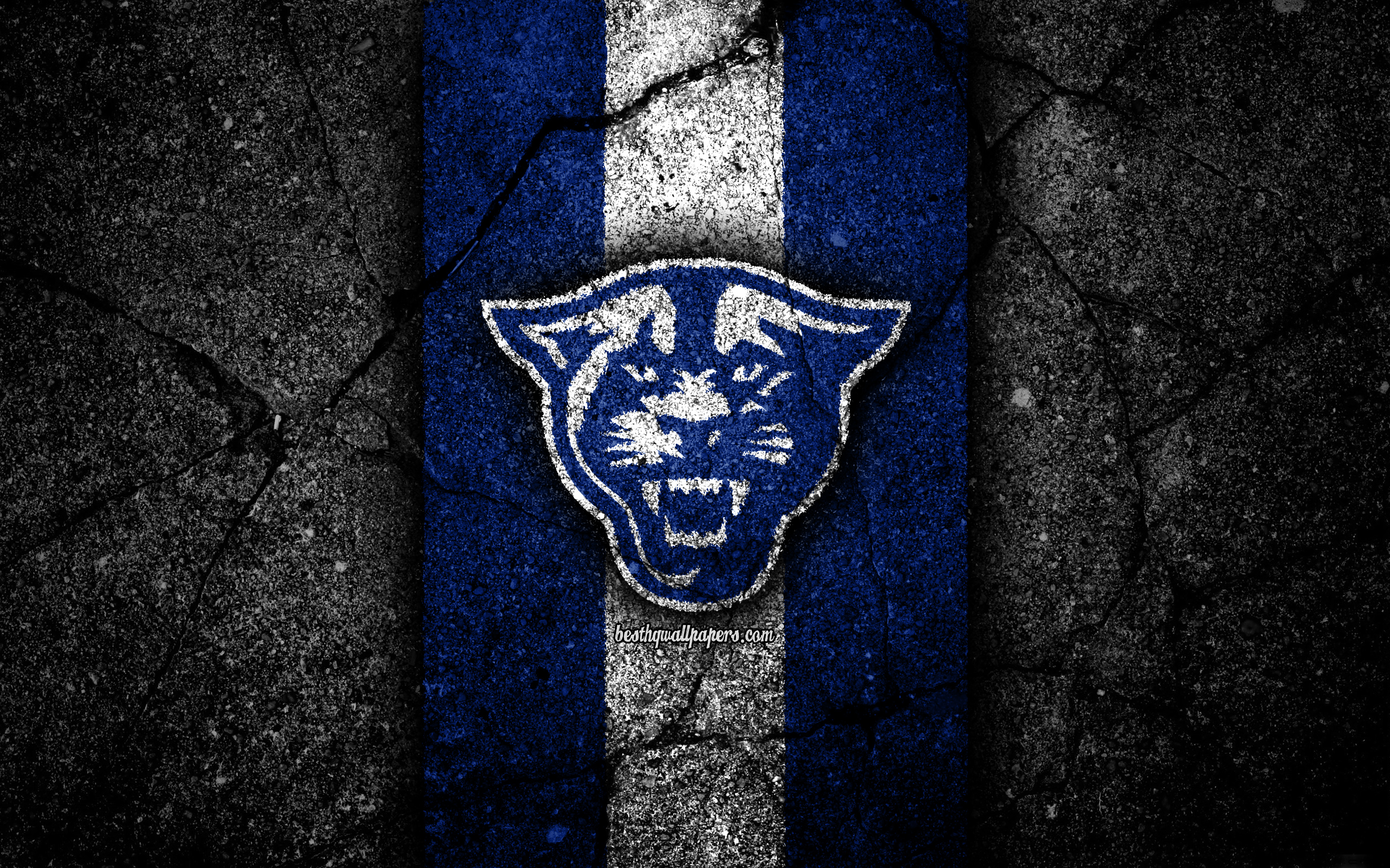 Georgia State Wallpapers