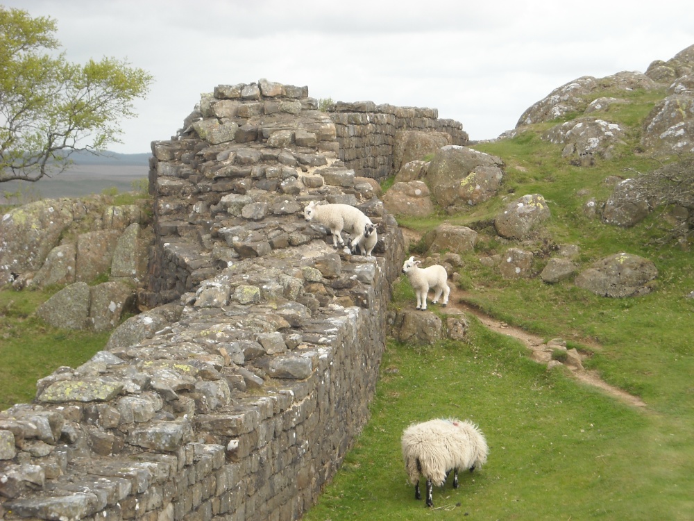 Hadrian'S Wall Wallpapers