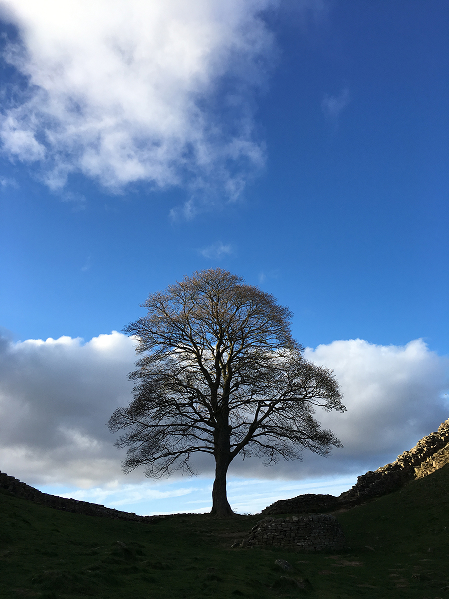 Hadrian'S Wall Wallpapers