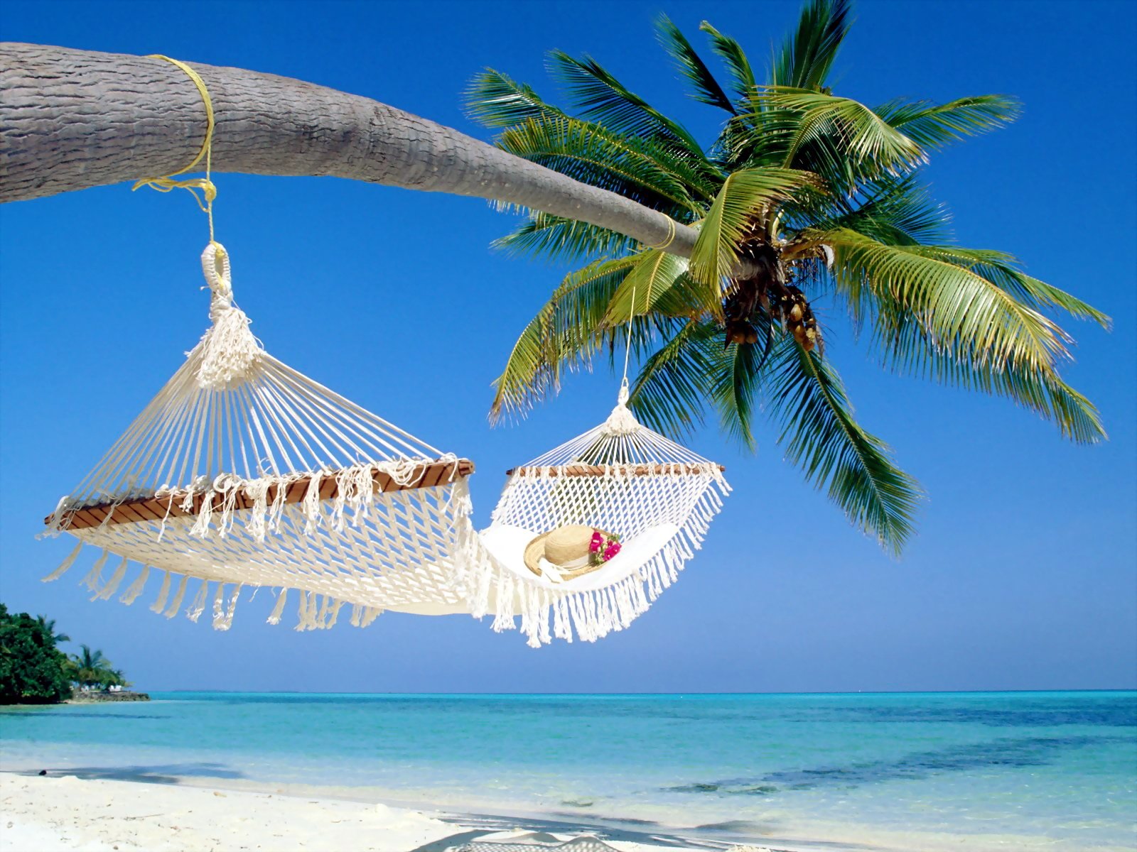 Hammock Wallpapers