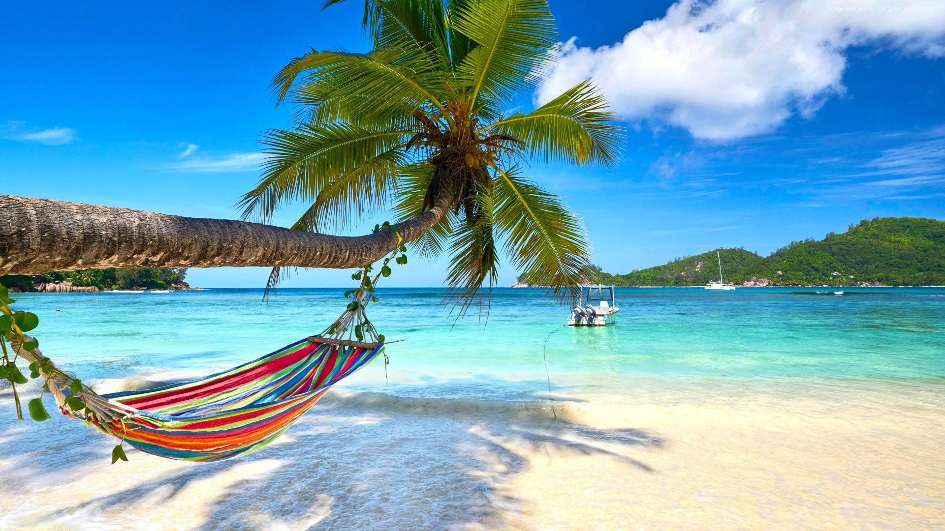 Hammock Wallpapers