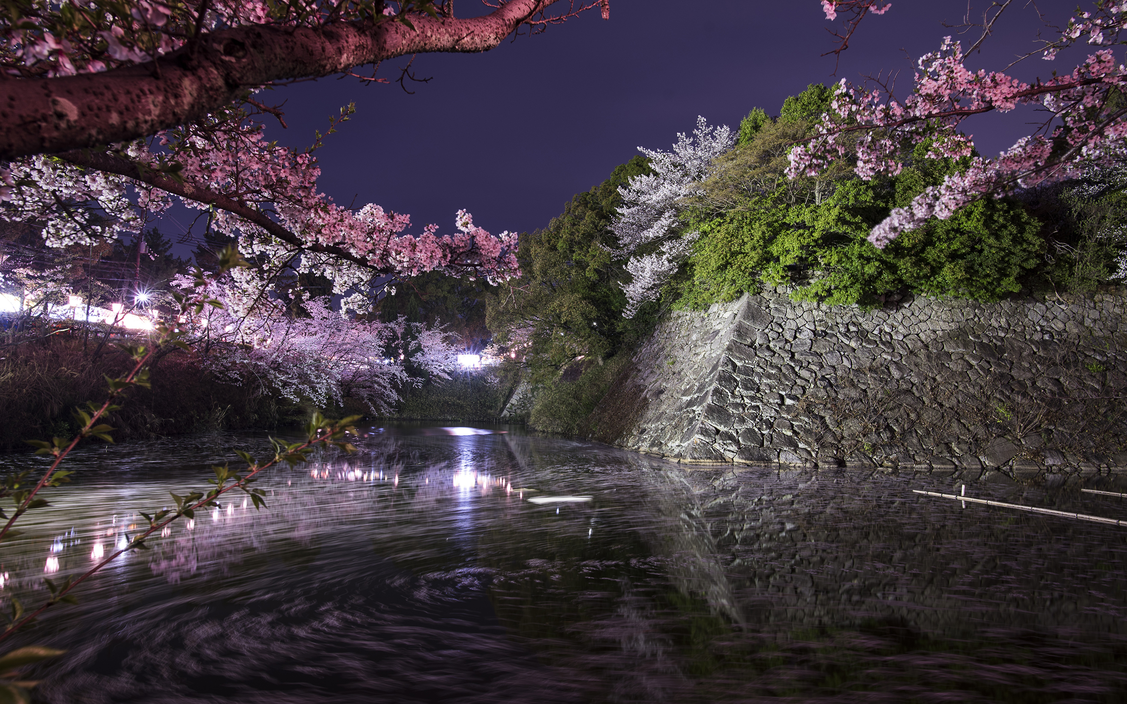 Koriyama Castle Wallpapers