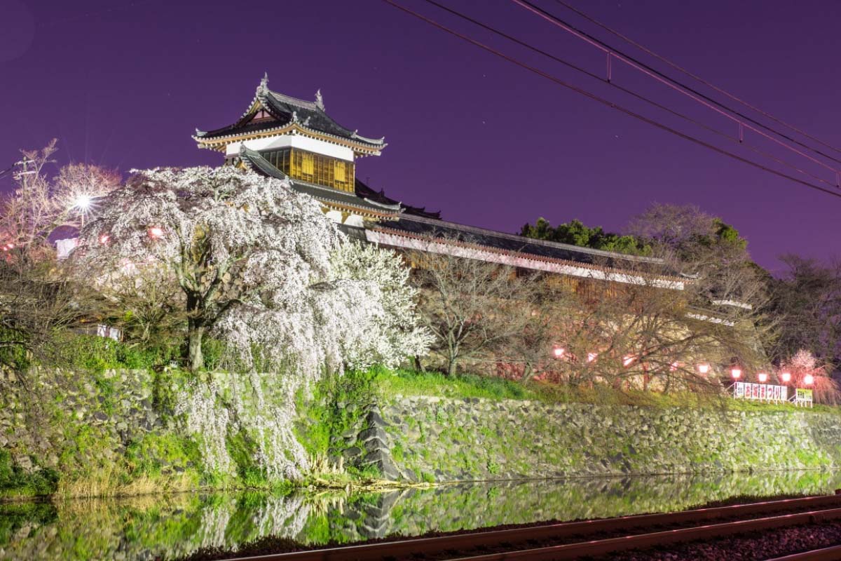 Koriyama Castle Wallpapers