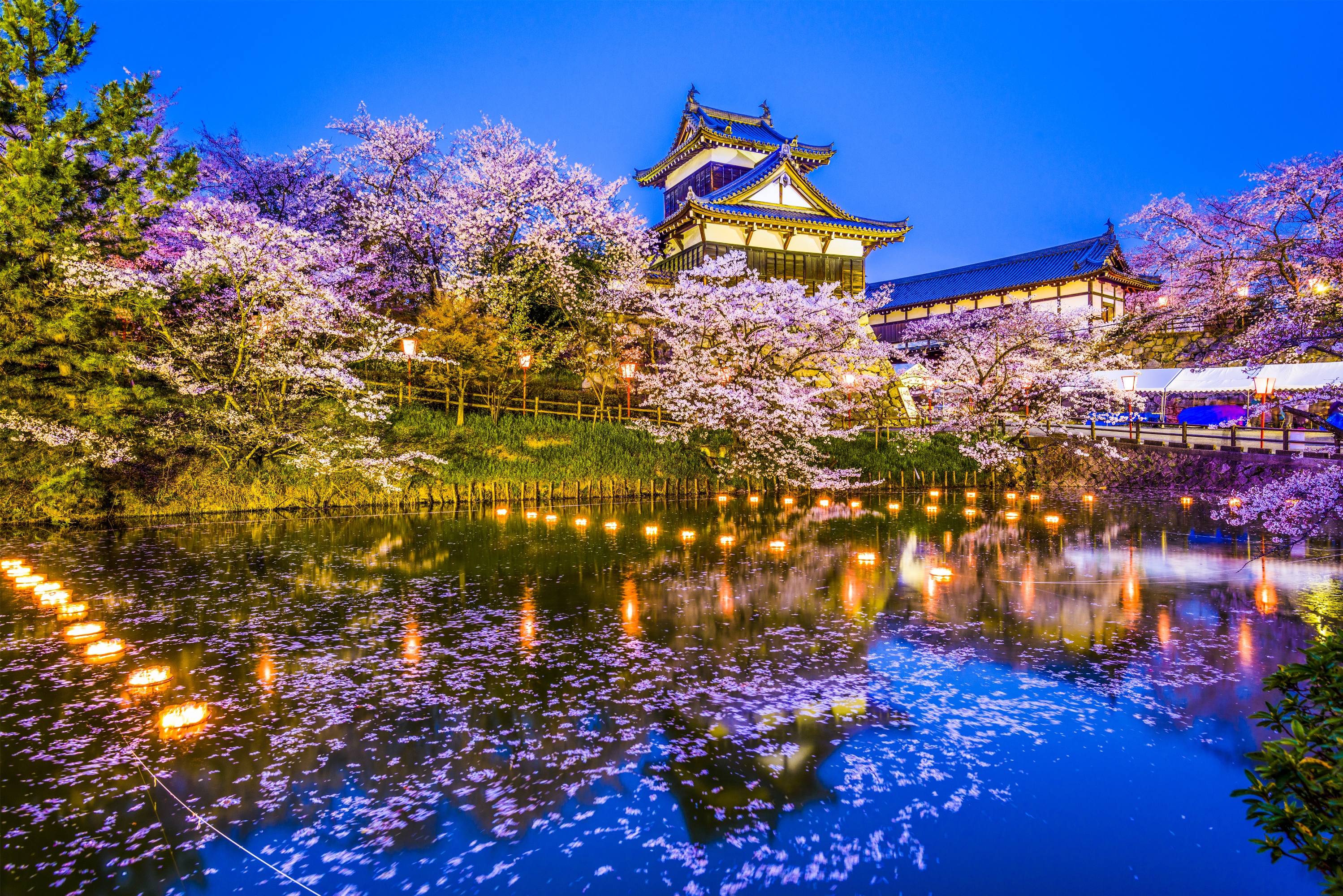 Koriyama Castle Wallpapers