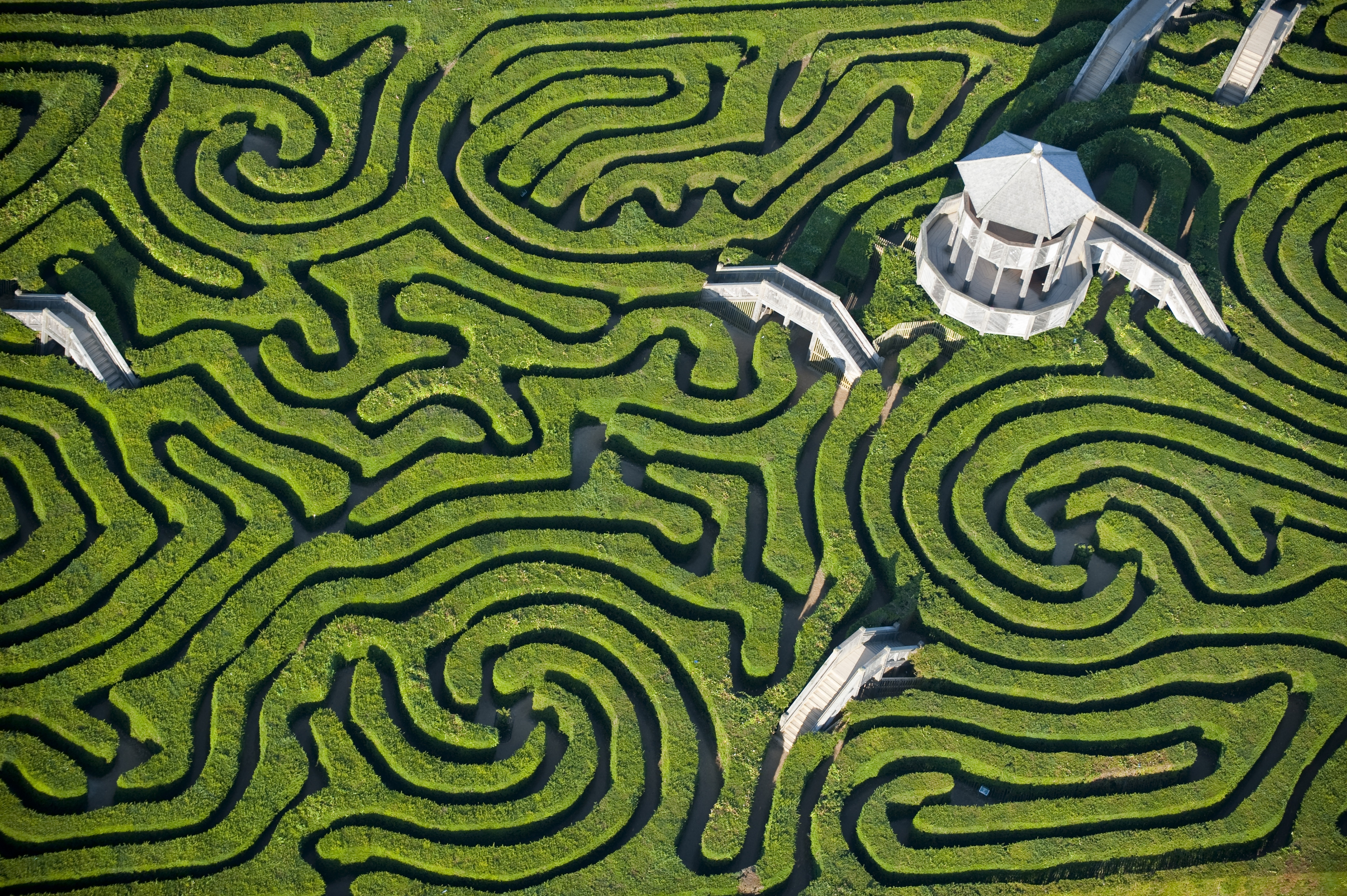 Longleat Maze Wallpapers