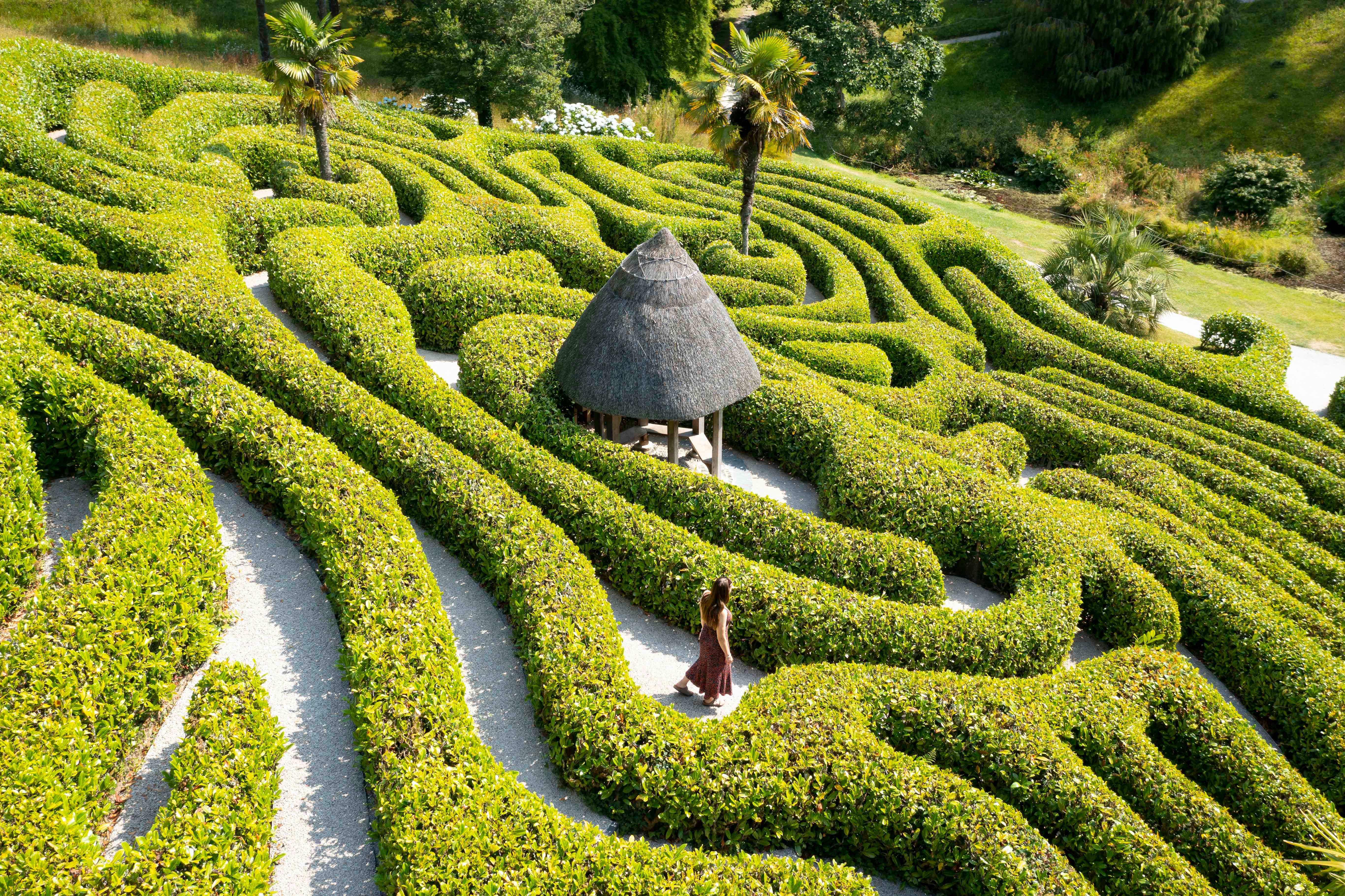 Longleat Maze Wallpapers