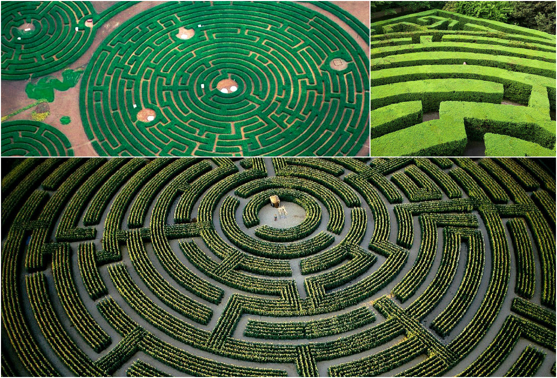 Longleat Maze Wallpapers