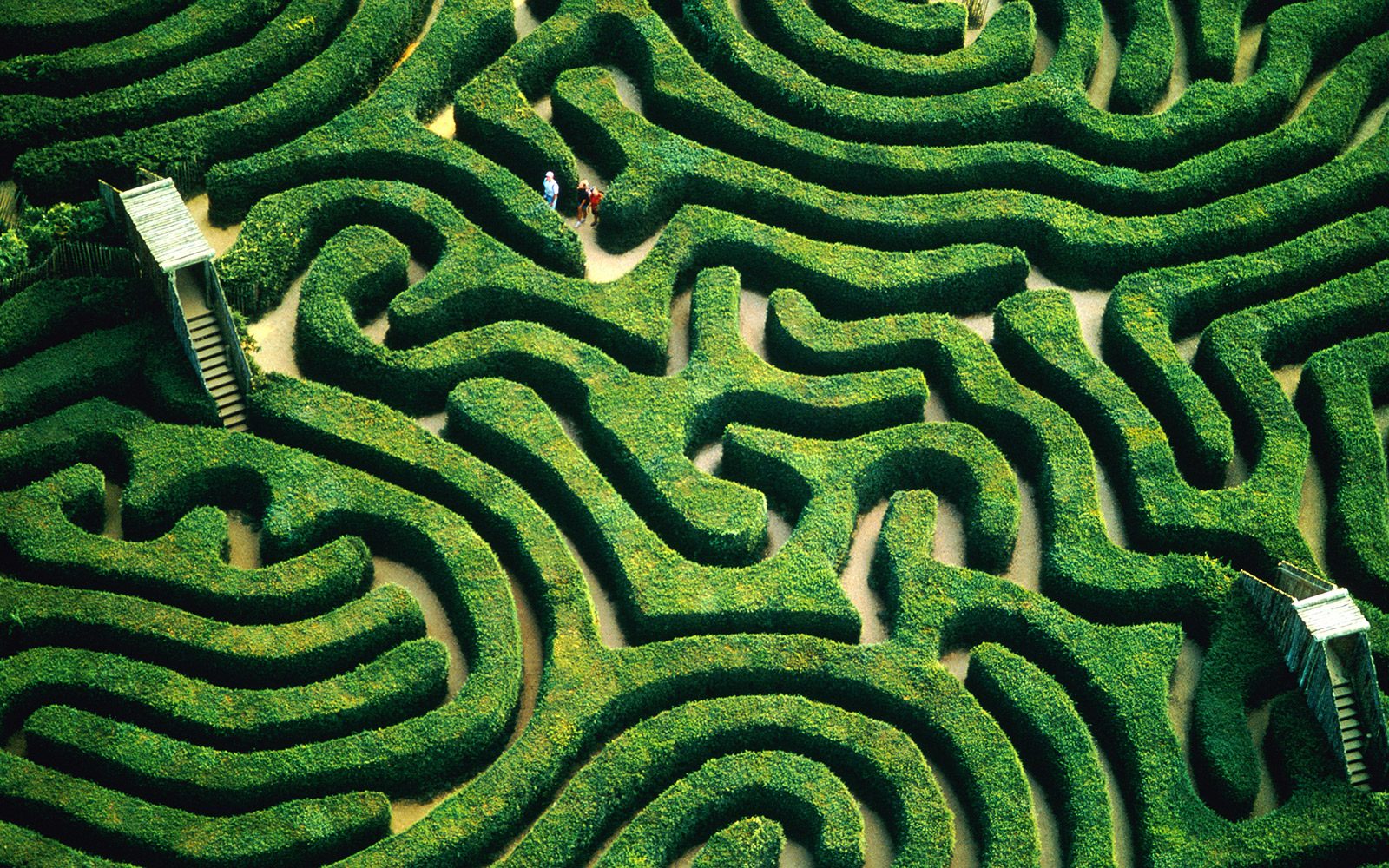 Longleat Maze Wallpapers