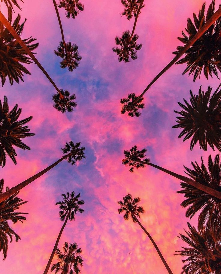 Los Angeles At Night Pink Sky Wallpapers