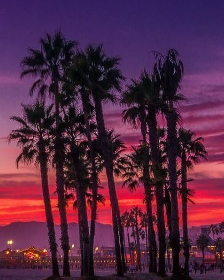 Los Angeles At Night Pink Sky Wallpapers