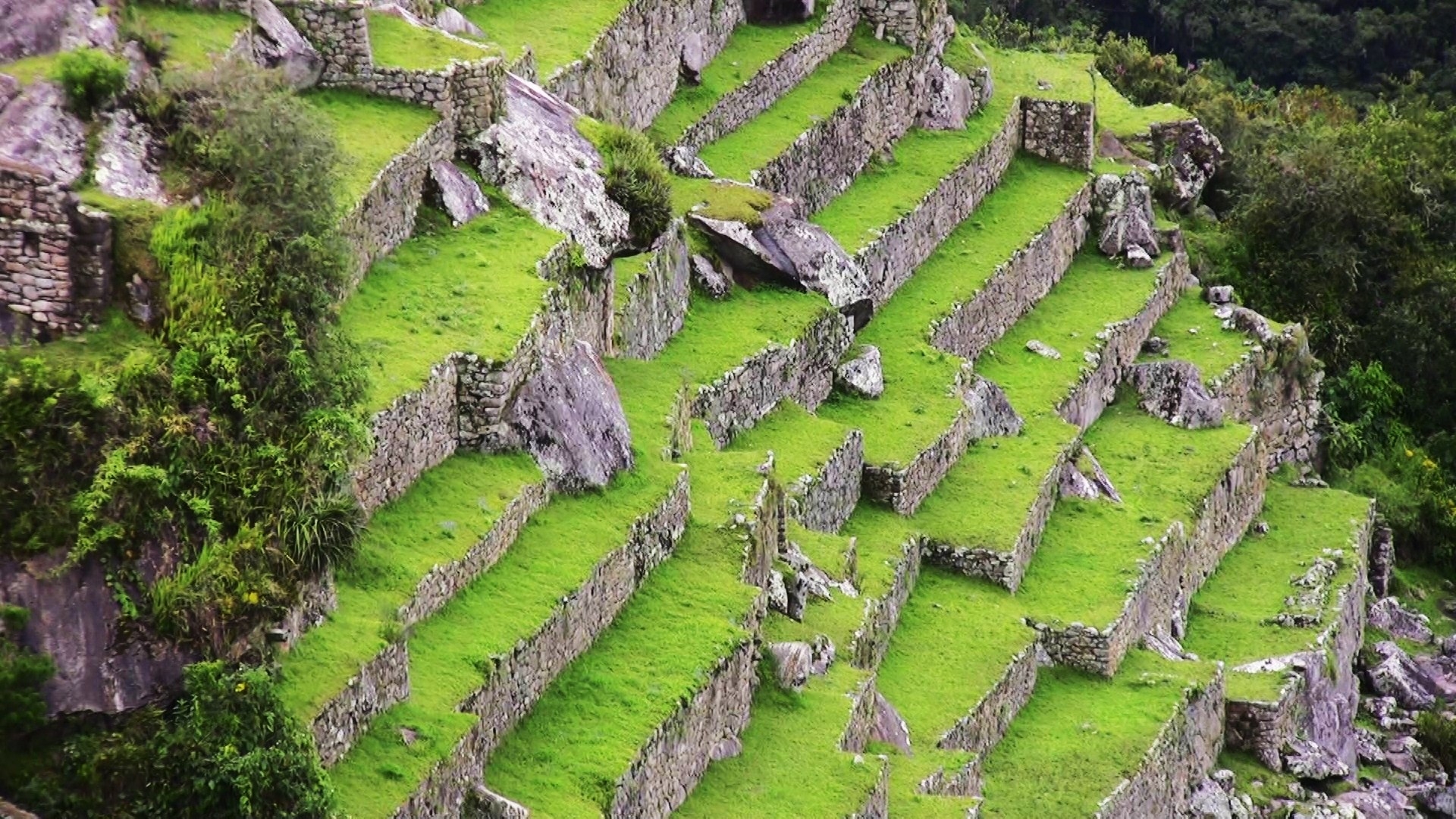 Machu Picchu Wallpapers