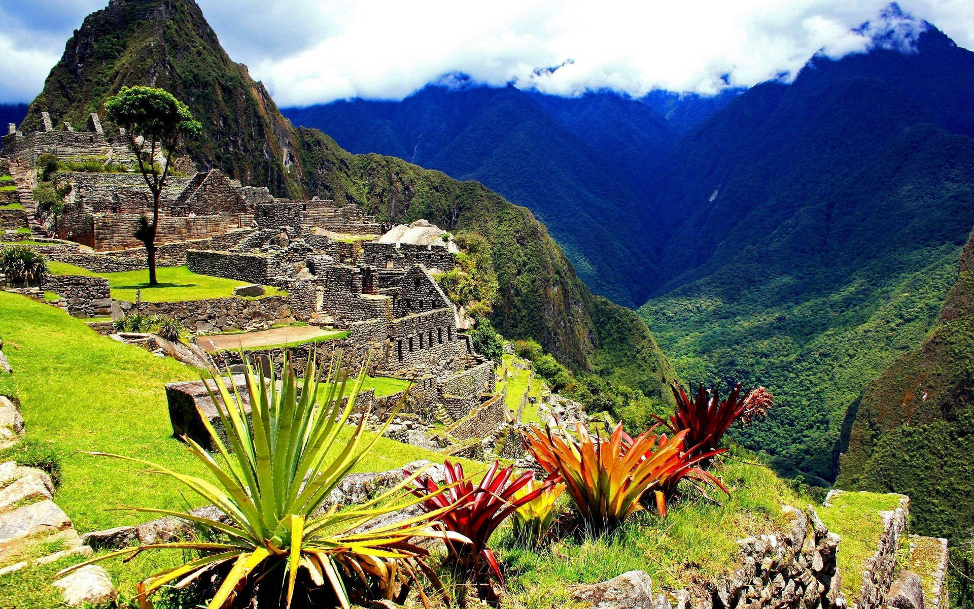 Machu Picchu Wallpapers