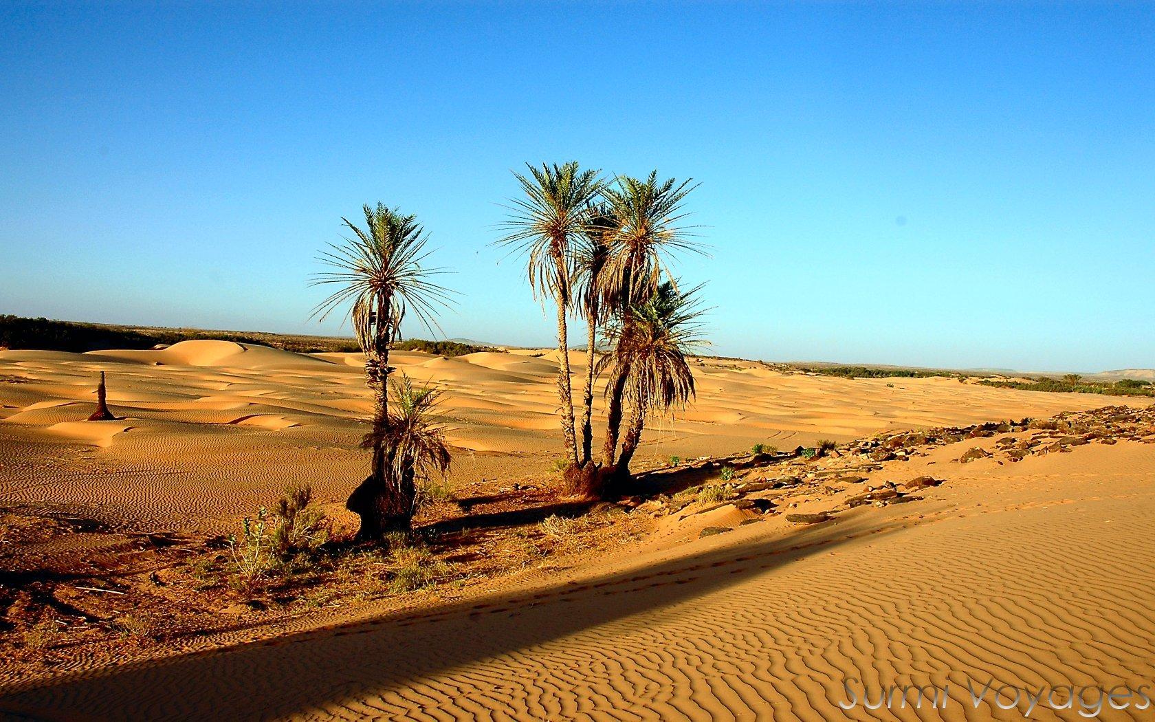 Mauritania Wallpapers