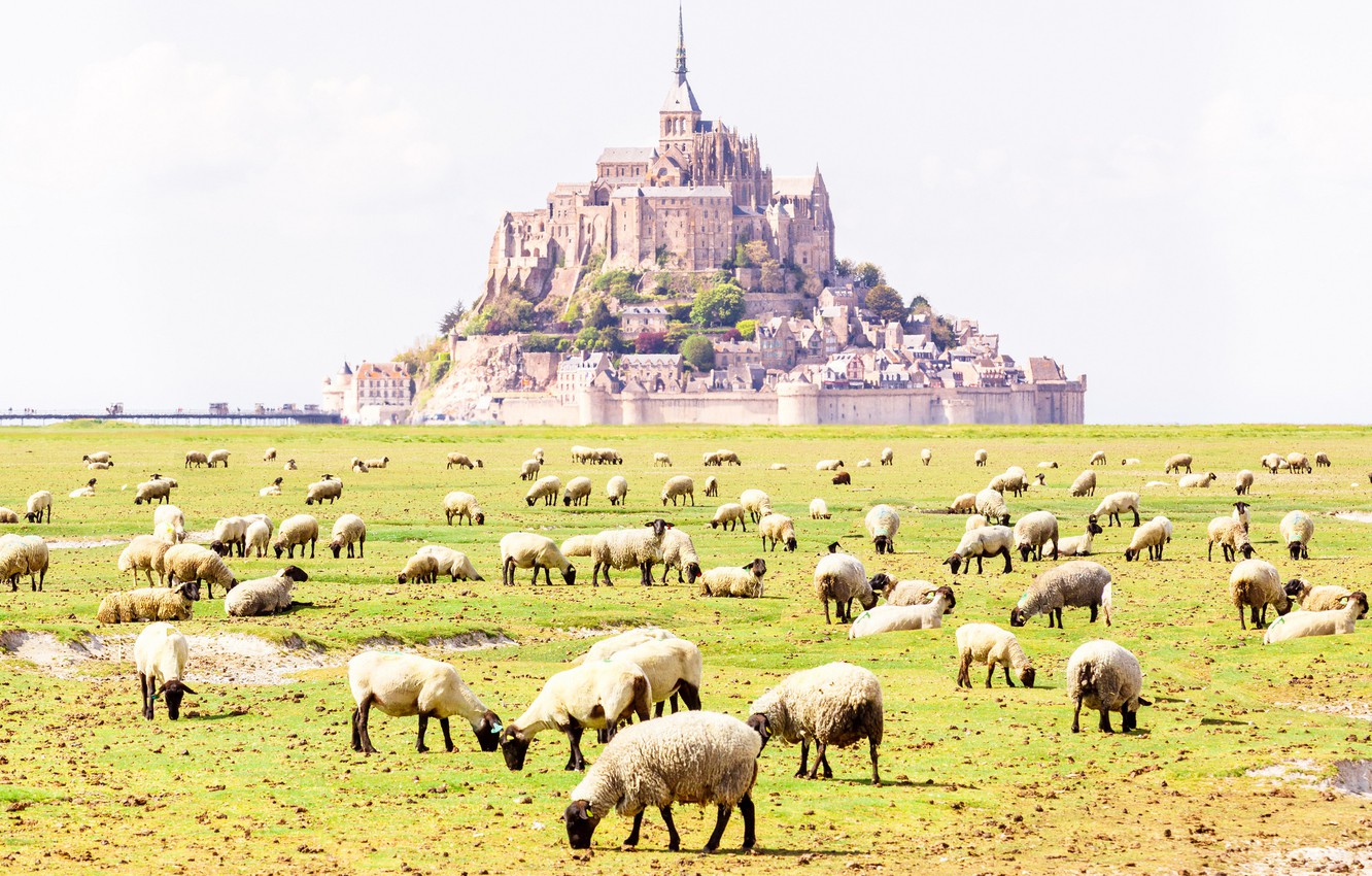 Mont Saint Michel Monastery Wallpapers