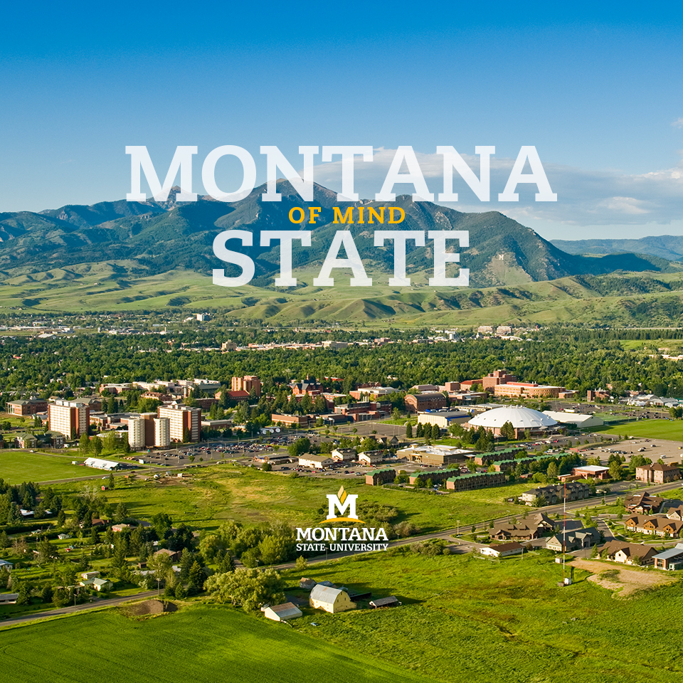 Montana State Wallpapers