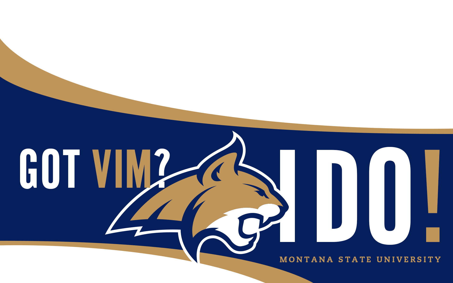 Montana State Wallpapers