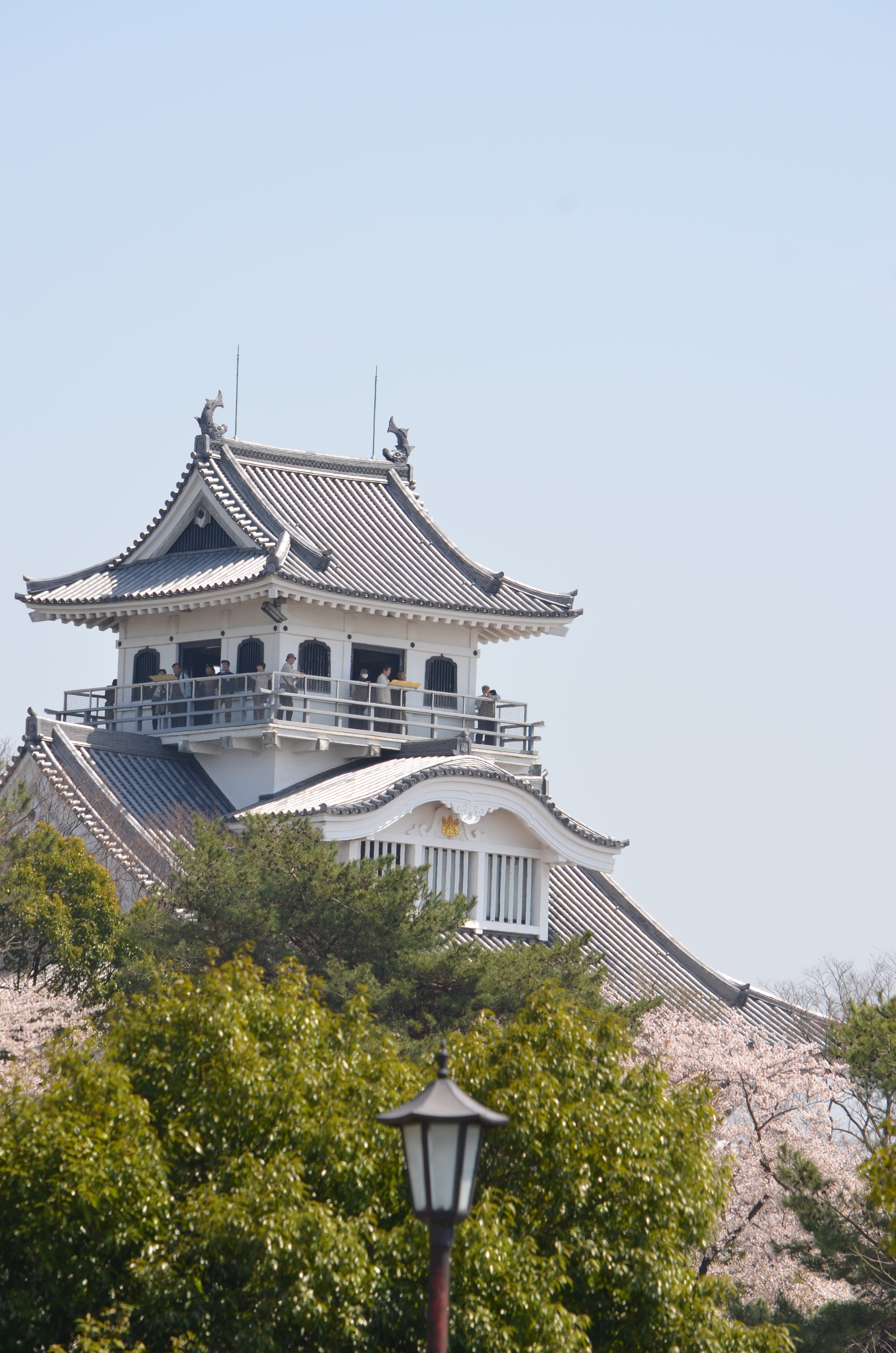 Nagahama Castle Wallpapers