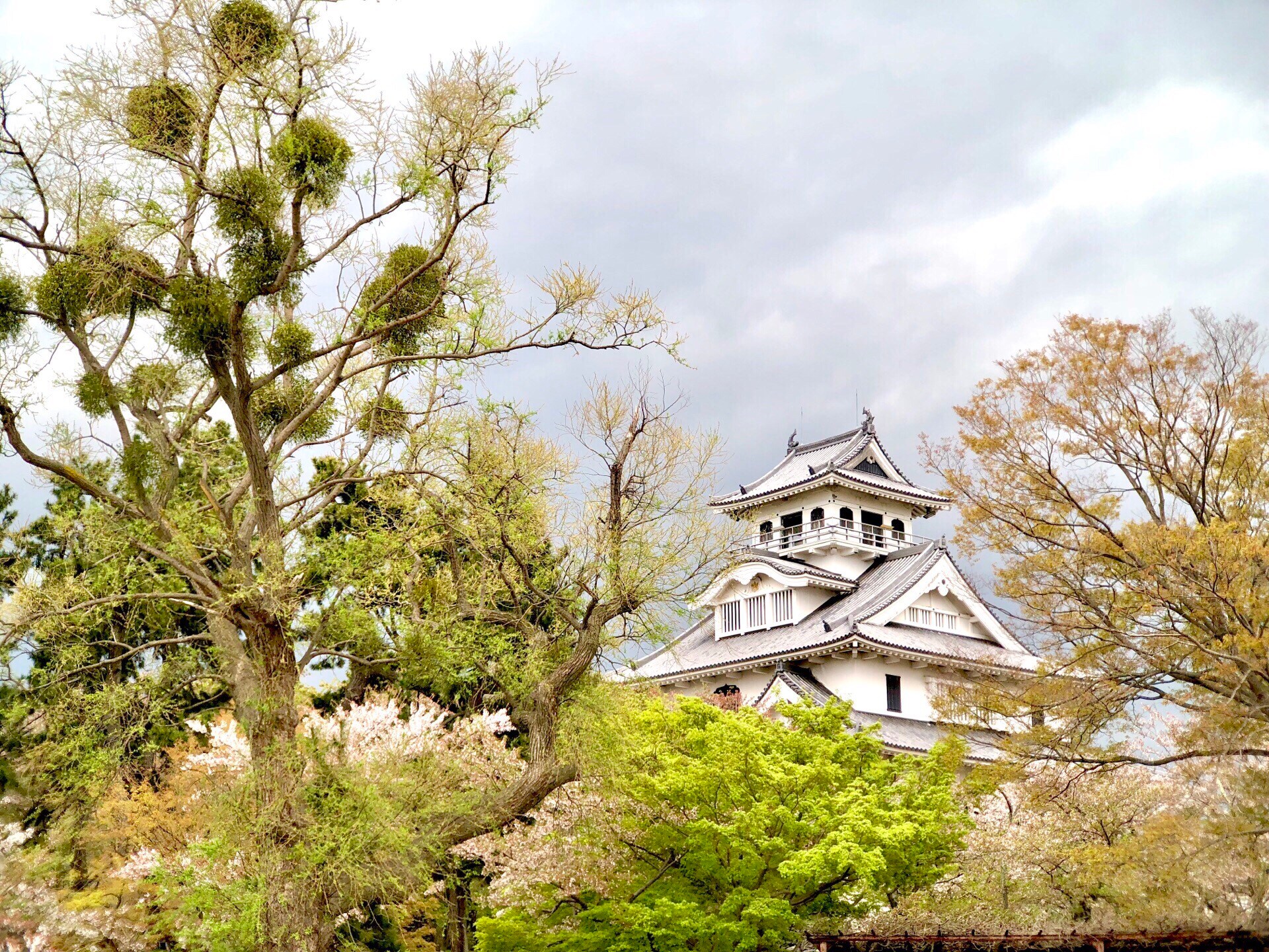 Nagahama Castle Wallpapers