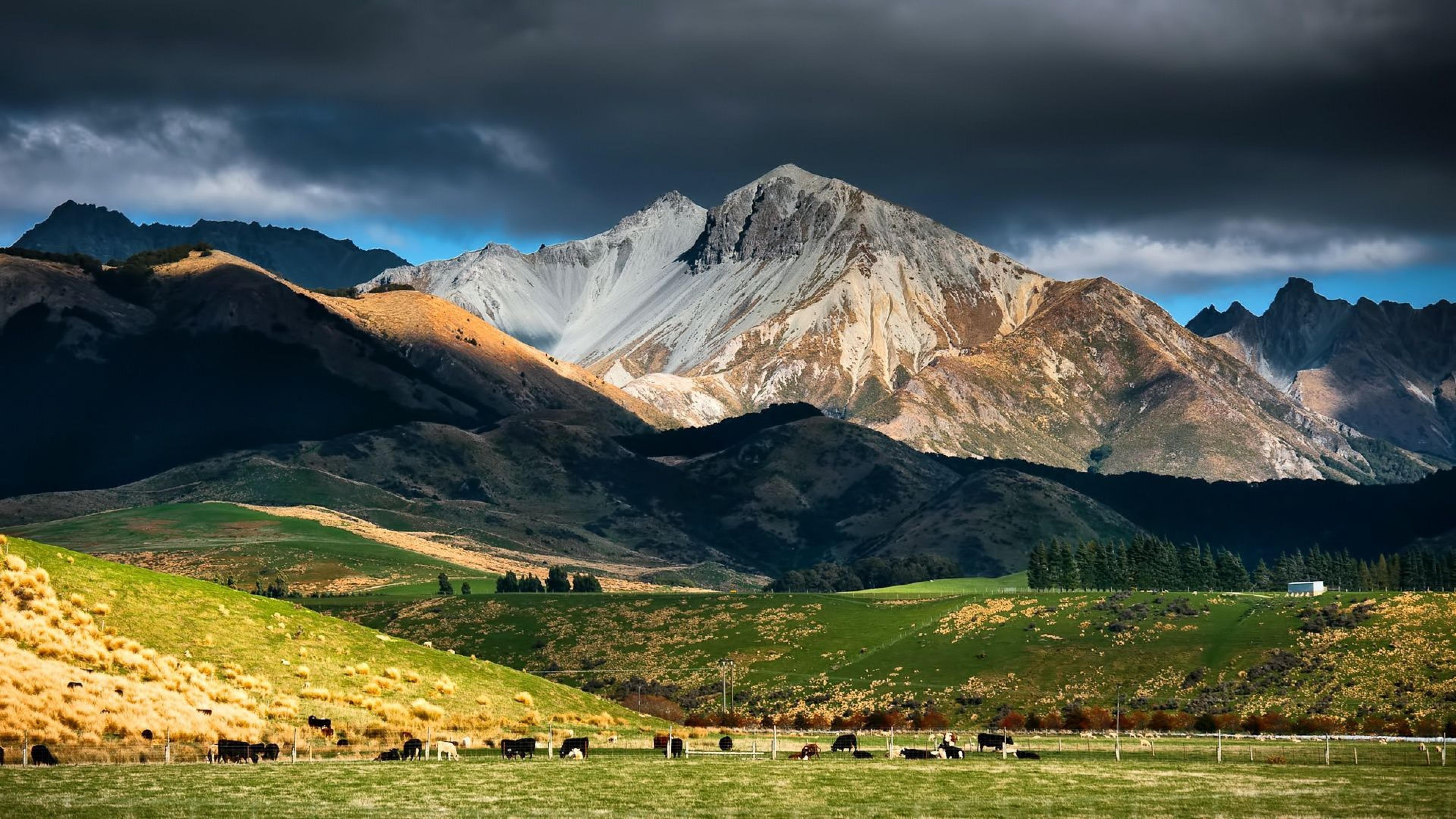 New Zealand Landscape Road Wallpapers