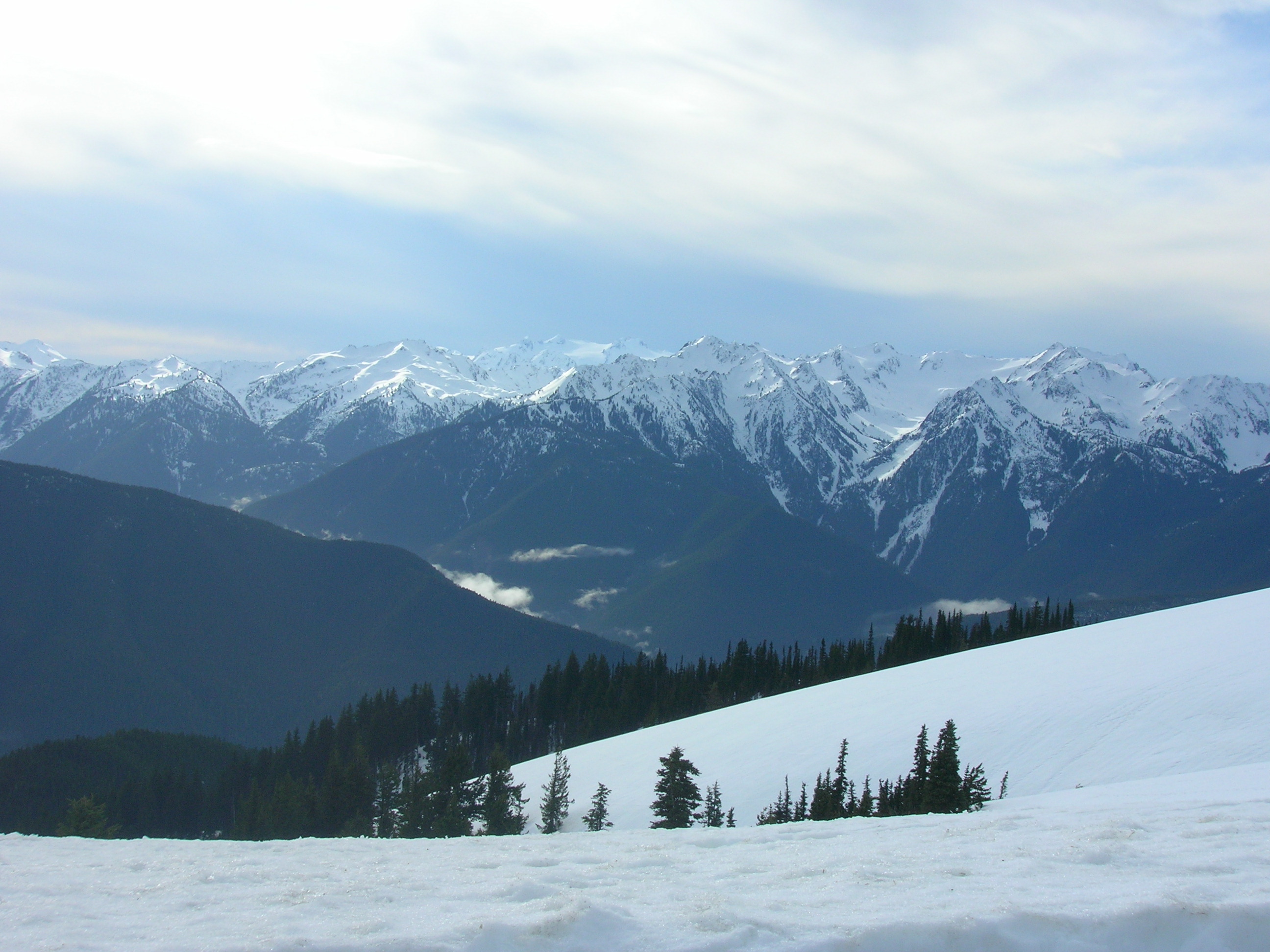 Olympic Mountains Night In Washington Wallpapers