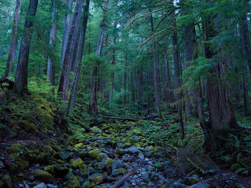 Olympic Mountains Night In Washington Wallpapers