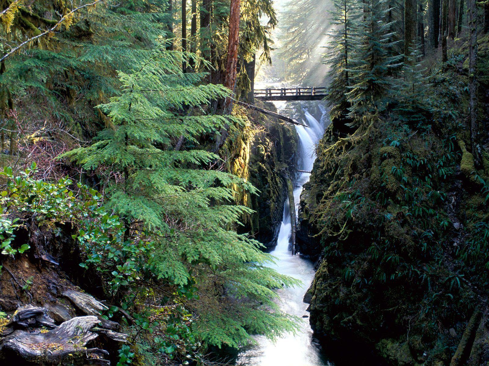 Olympic Mountains Night In Washington Wallpapers