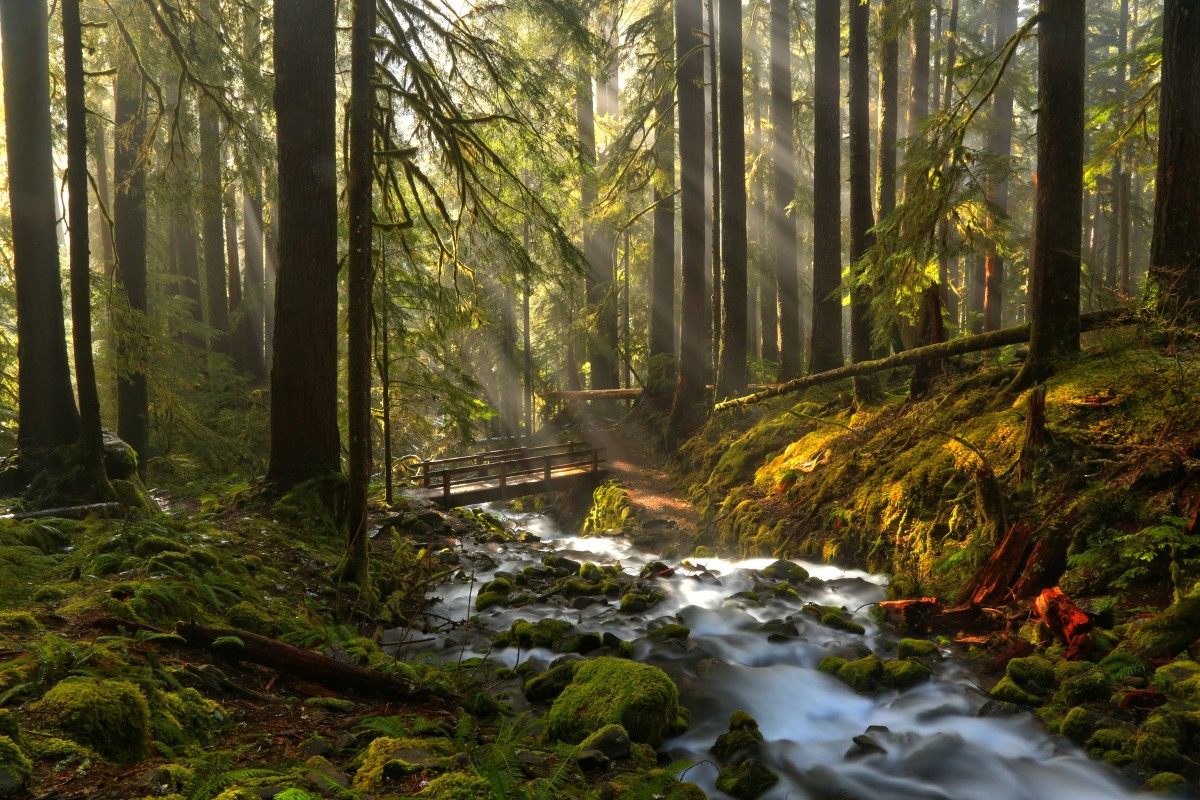 Olympic Mountains Night In Washington Wallpapers