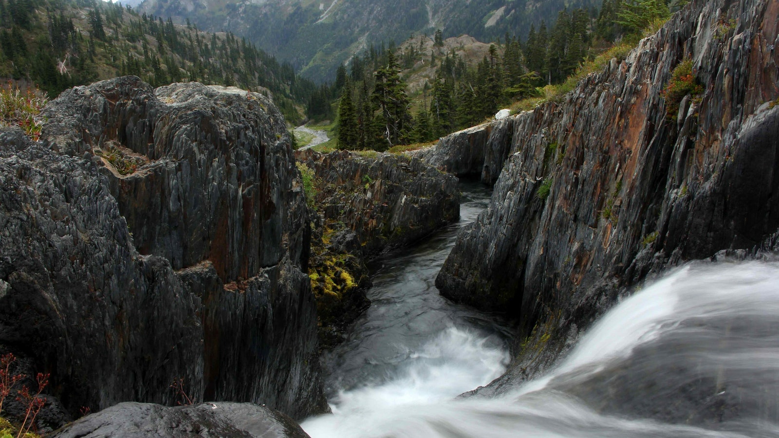 Olympic Mountains Night In Washington Wallpapers