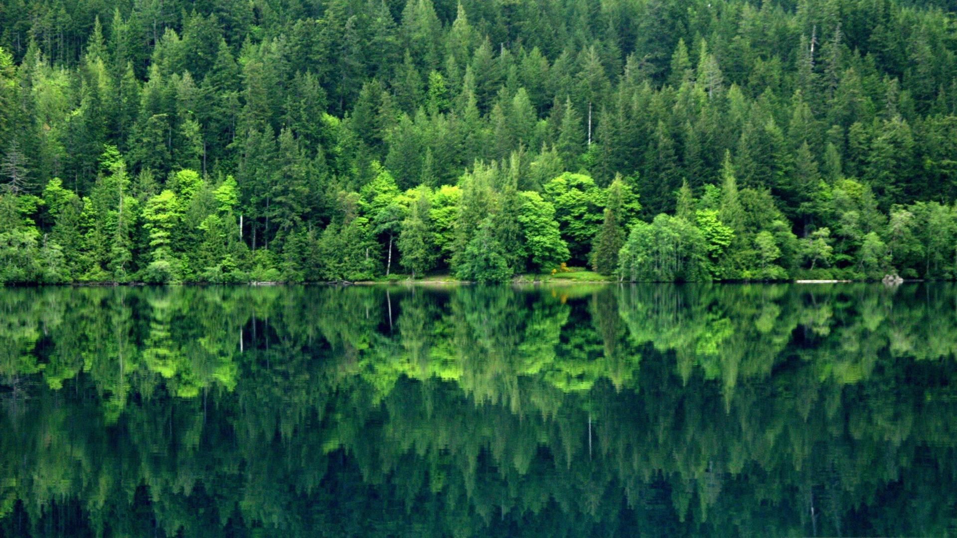 Olympic Mountains Night In Washington Wallpapers