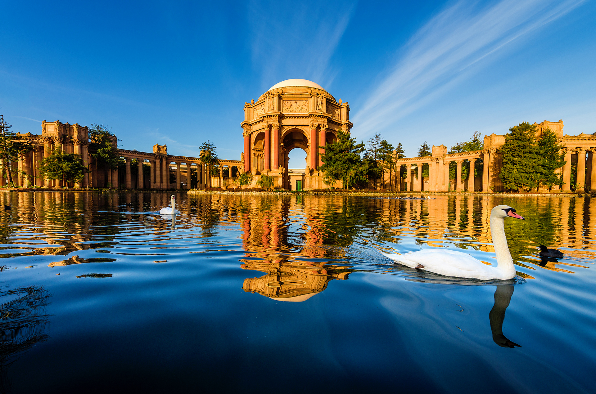 Palace Of Fine Arts Wallpapers