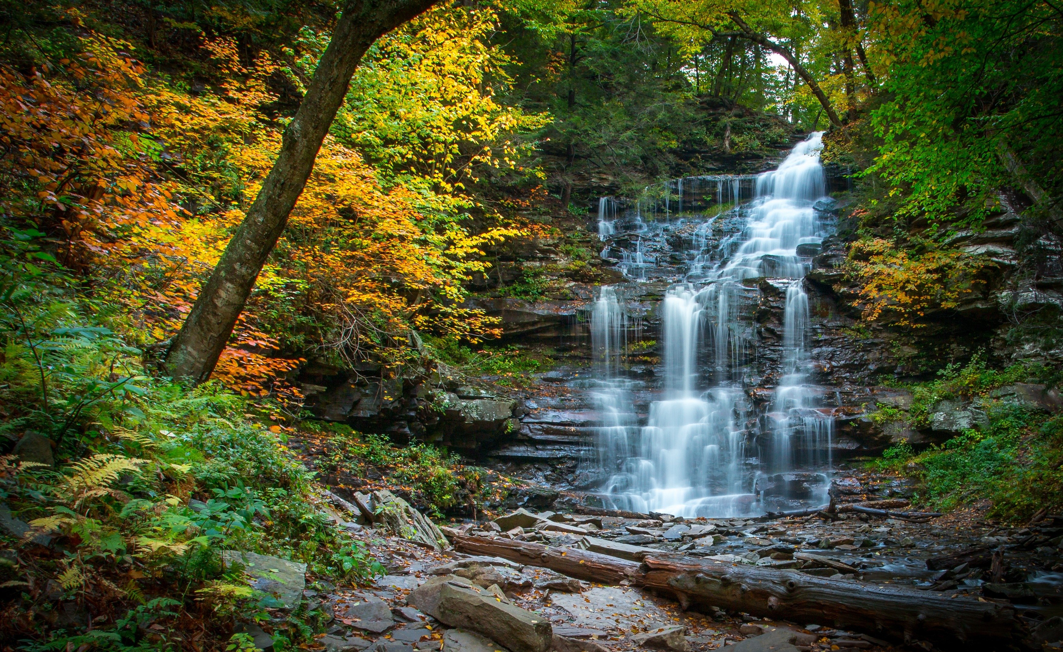 Pennsylvania Wallpapers