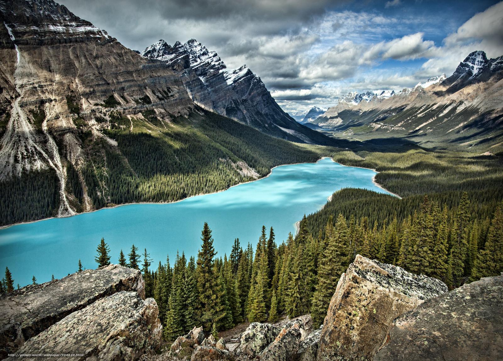 Peyto Lake 4K Wallpapers