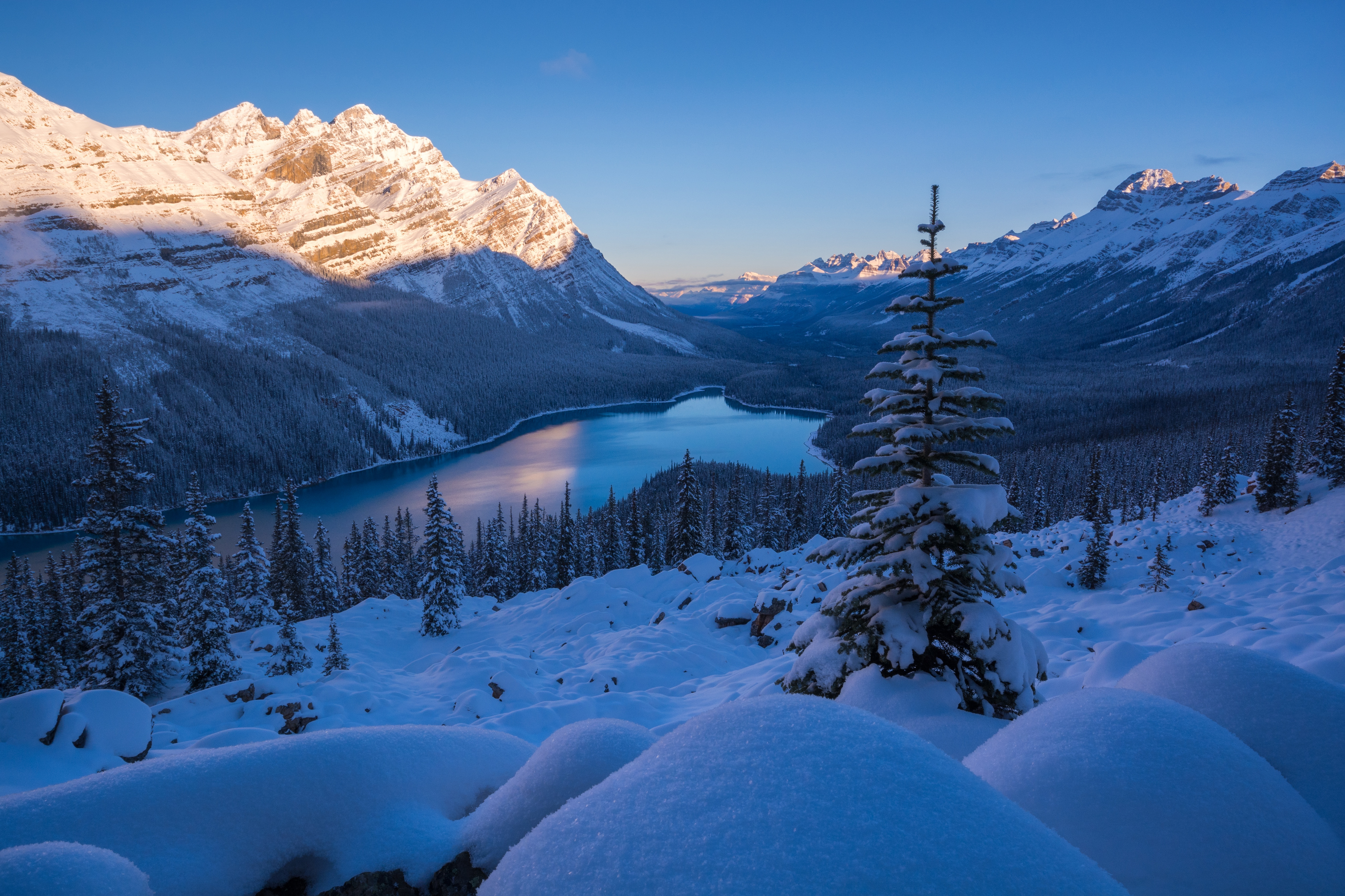 Peyto Lake 4K Wallpapers