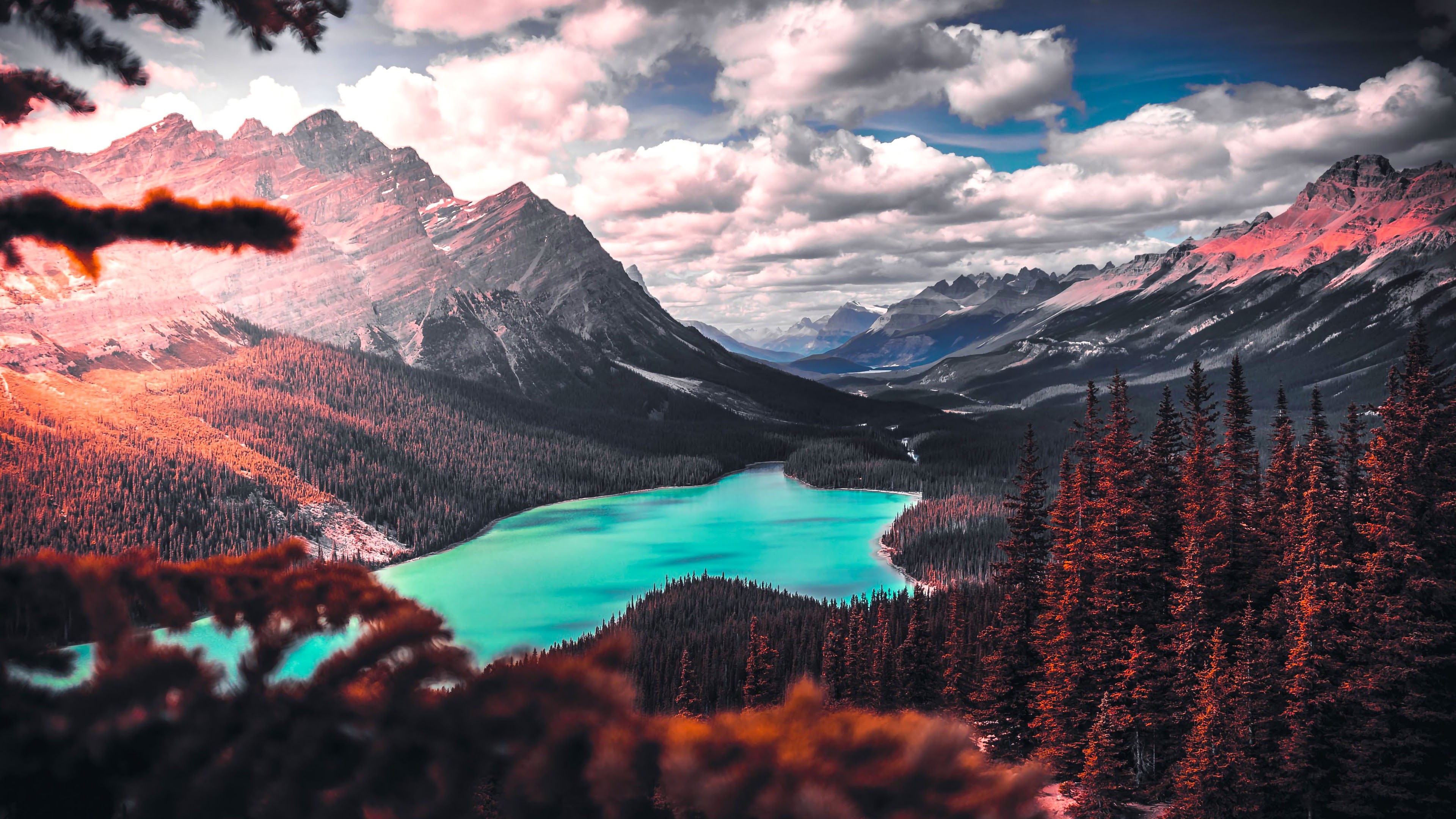 Peyto Lake 4K Wallpapers